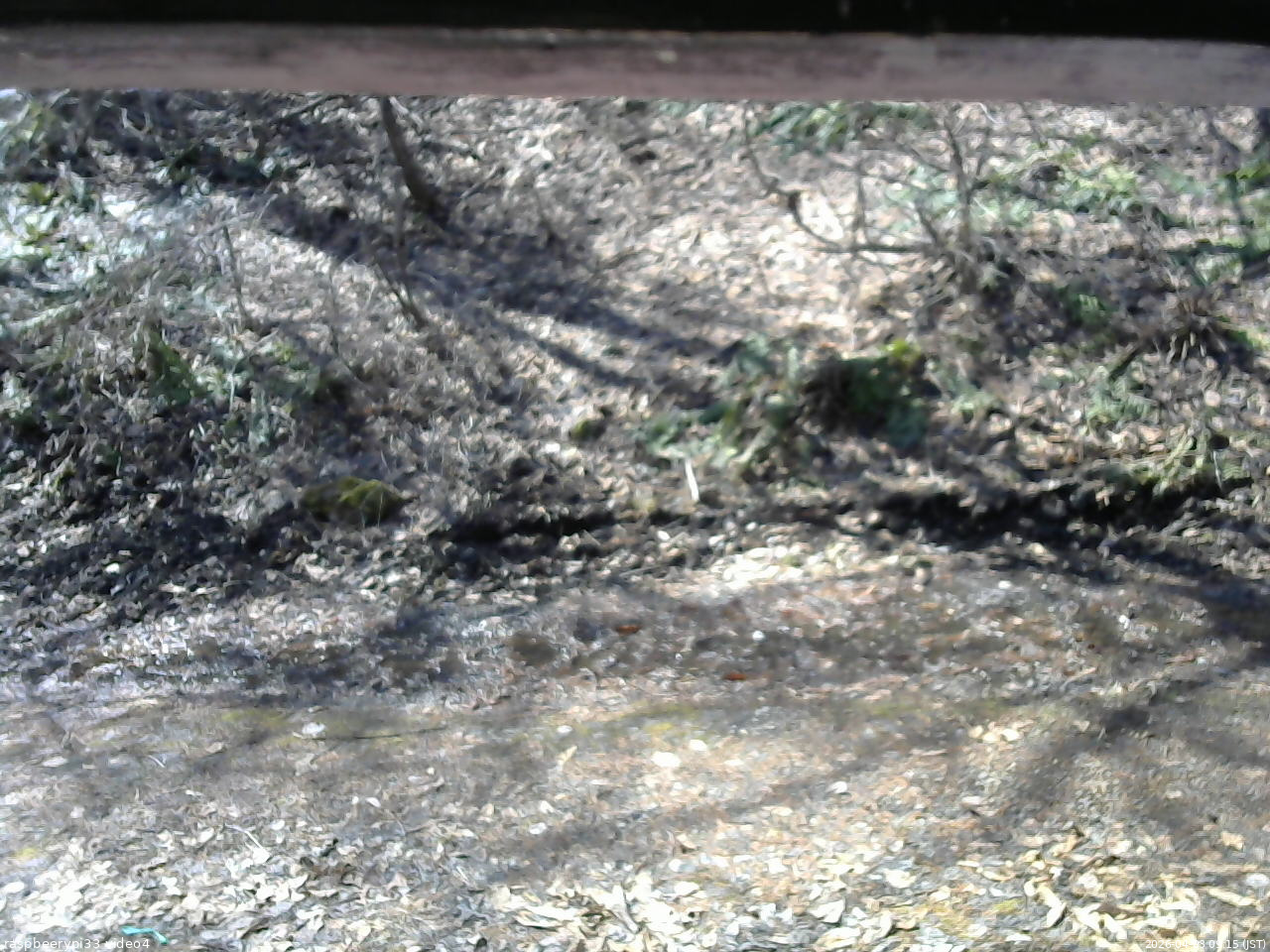 長野県菅平高原 ゆたか山荘 東側(坂下) 2026/04/03 09:15