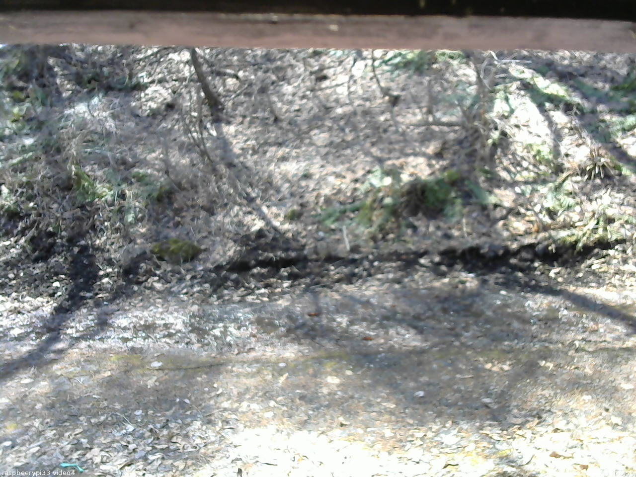 長野県菅平高原 ゆたか山荘 東側(坂下) 2026/04/03 10:30