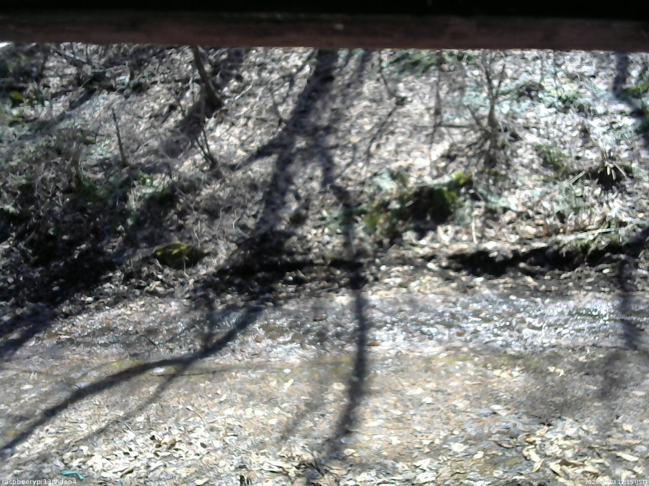 長野県菅平高原 ゆたか山荘 東側(坂下) 2026/04/03 12:15