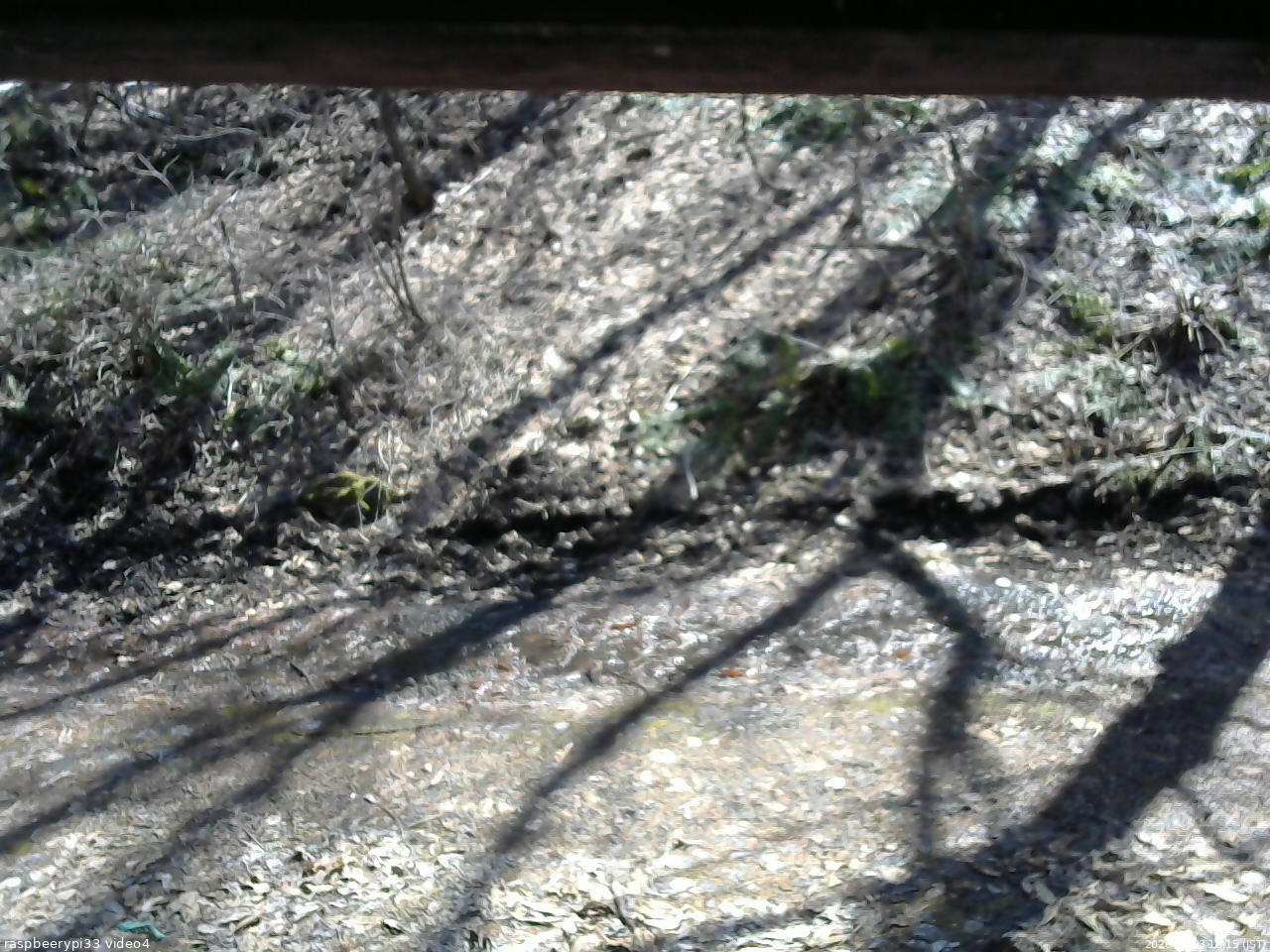 長野県菅平高原 ゆたか山荘 東側(坂下) 2026/04/03 13:15