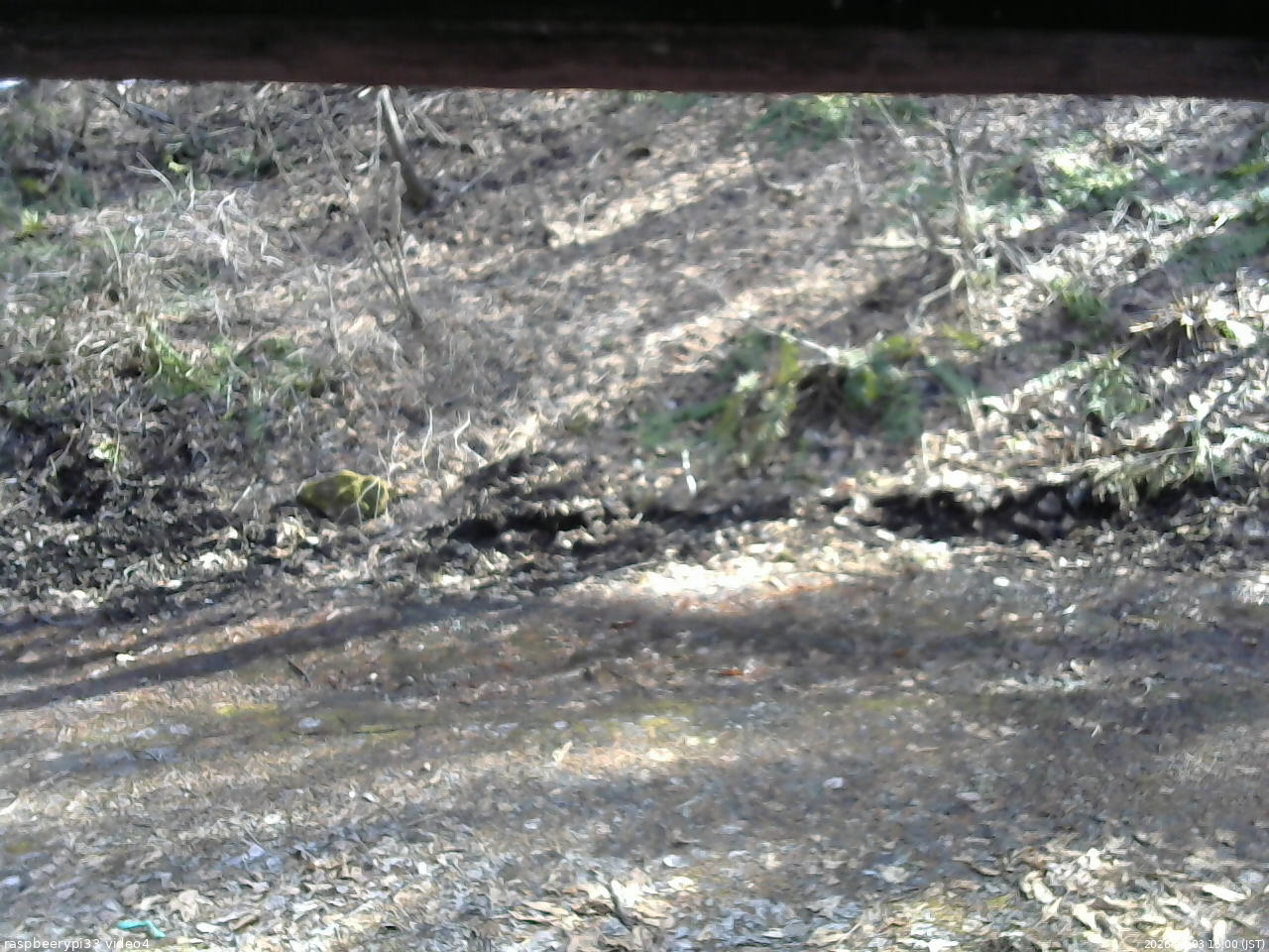 長野県菅平高原 ゆたか山荘 東側(坂下) 2026/04/03 15:00