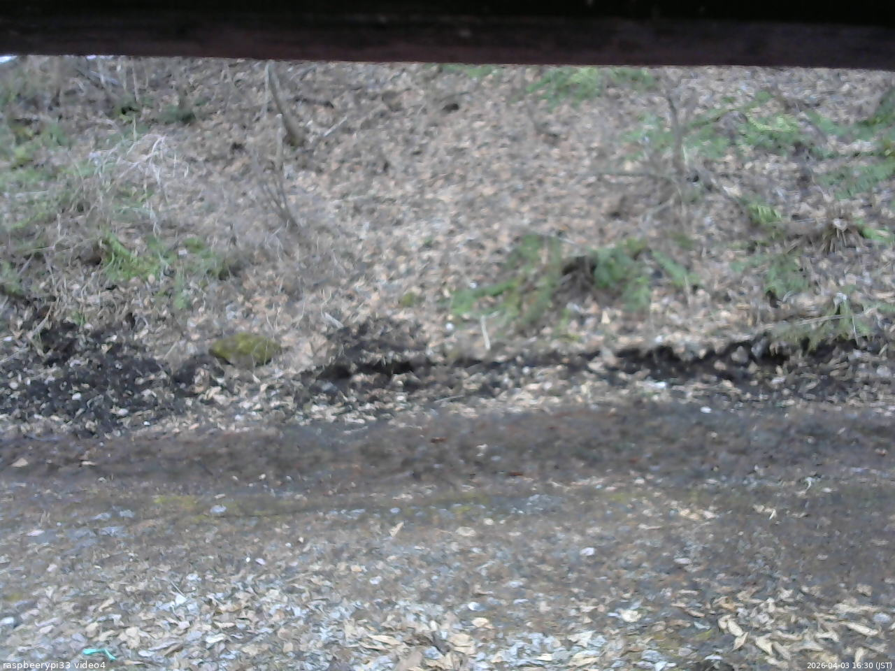 長野県菅平高原 ゆたか山荘 東側(坂下) 2026/04/03 16:30