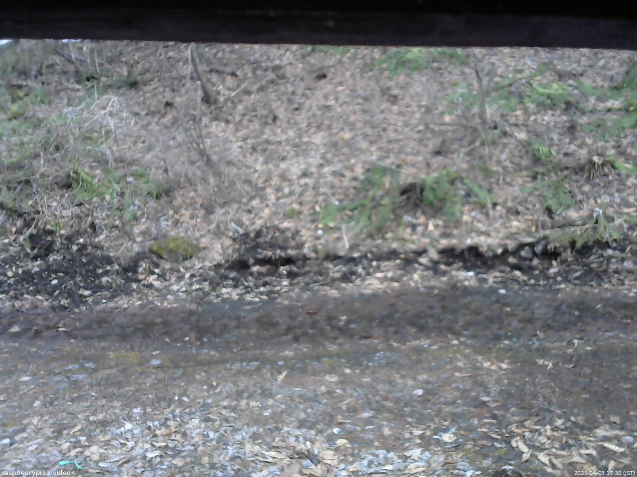 長野県菅平高原 ゆたか山荘 東側(坂下) 2026/04/03 17:30