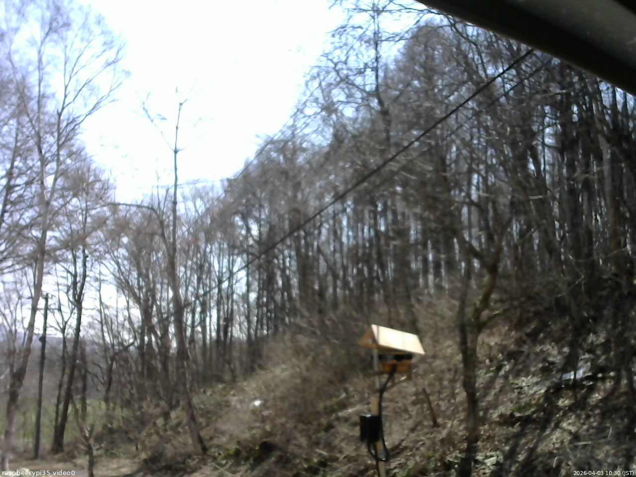 長野県菅平高原 ゆたか山荘 温度計 2026/04/03 10:30