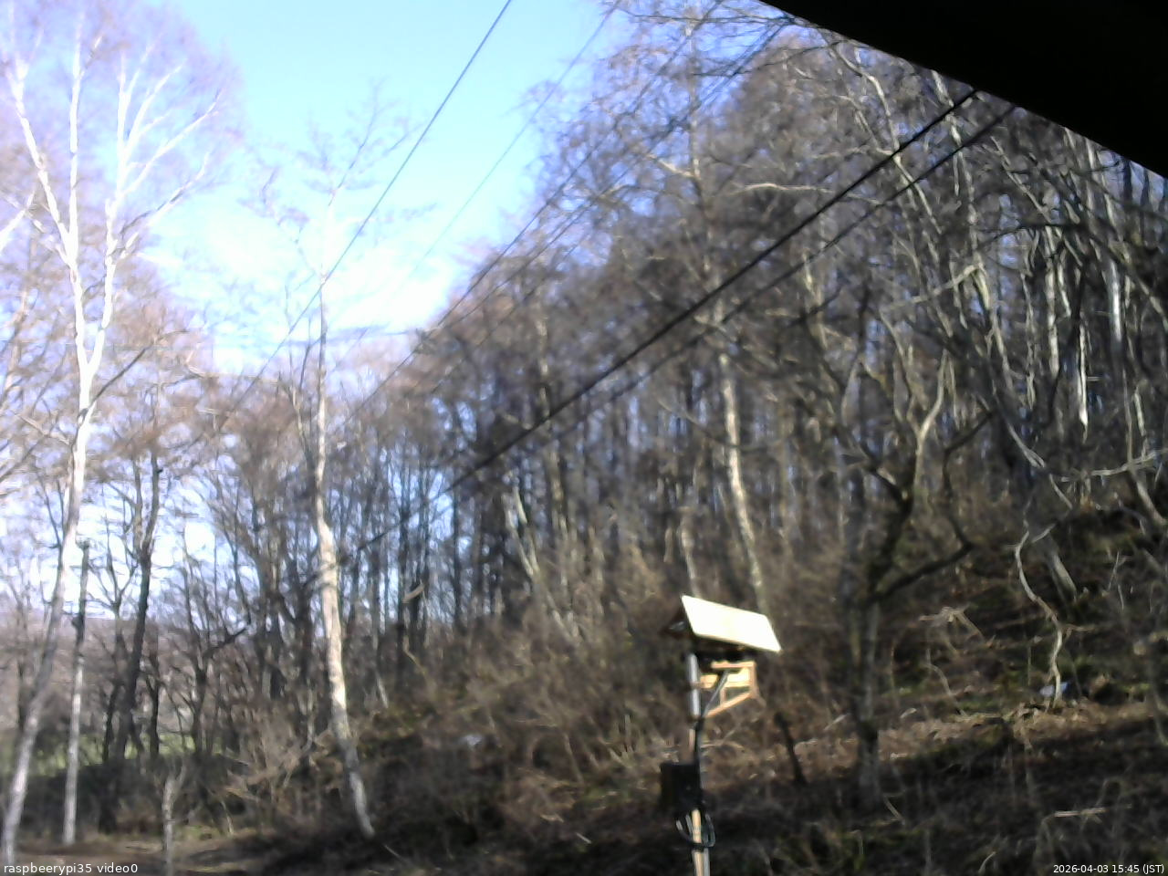 長野県菅平高原 ゆたか山荘 温度計 2026/04/03 15:45