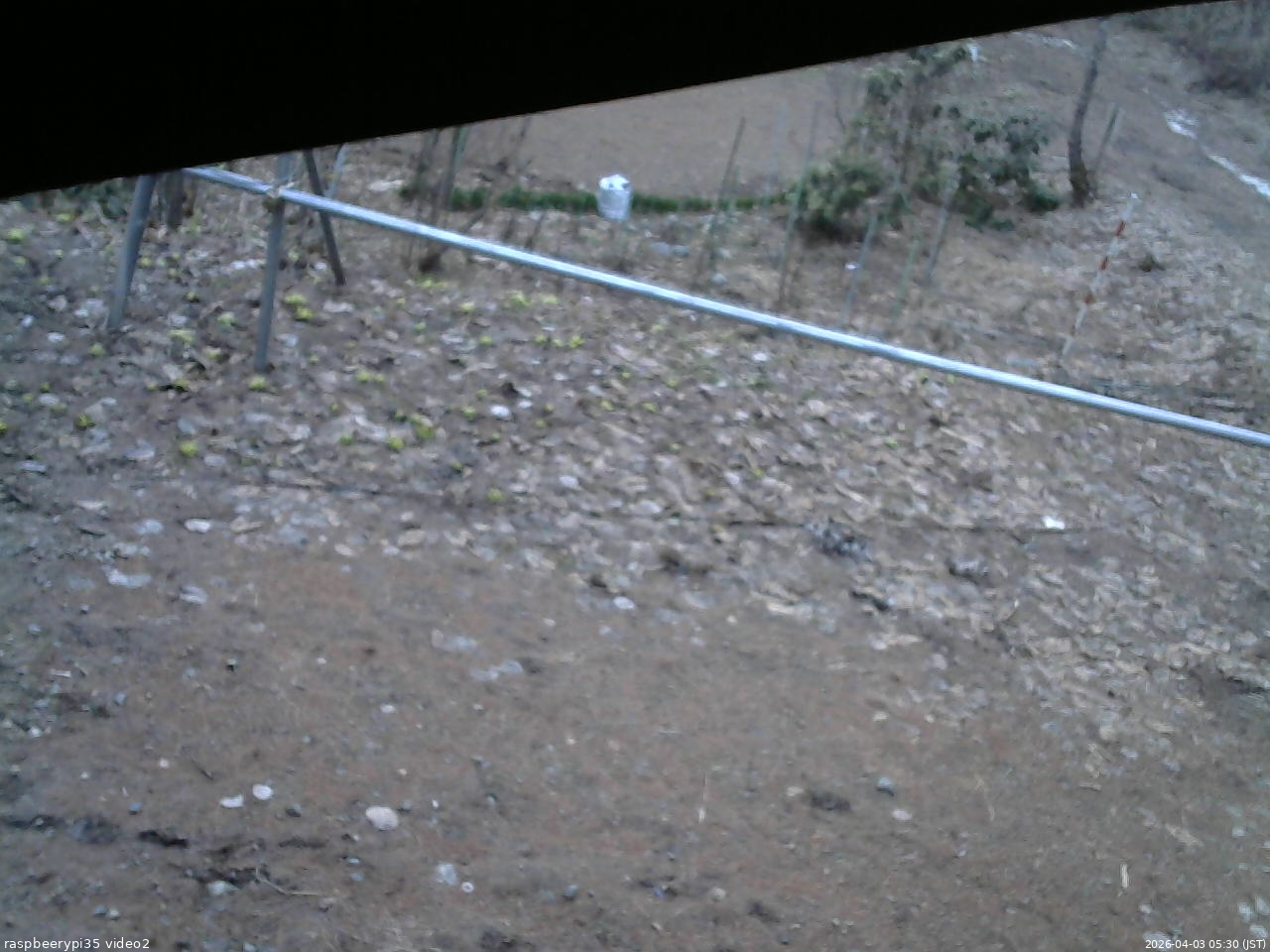 長野県菅平高原 ゆたか山荘 駐車場 2026/04/03 05:30