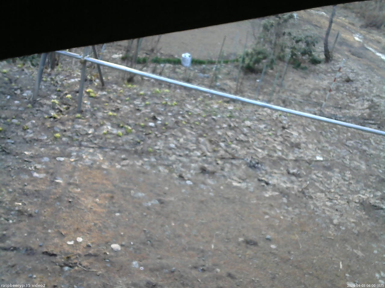 長野県菅平高原 ゆたか山荘 駐車場 2026/04/03 06:00