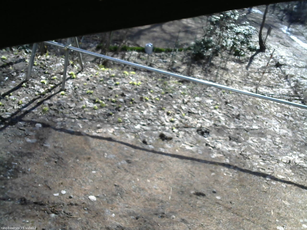 長野県菅平高原 ゆたか山荘 駐車場 2026/04/03 08:15