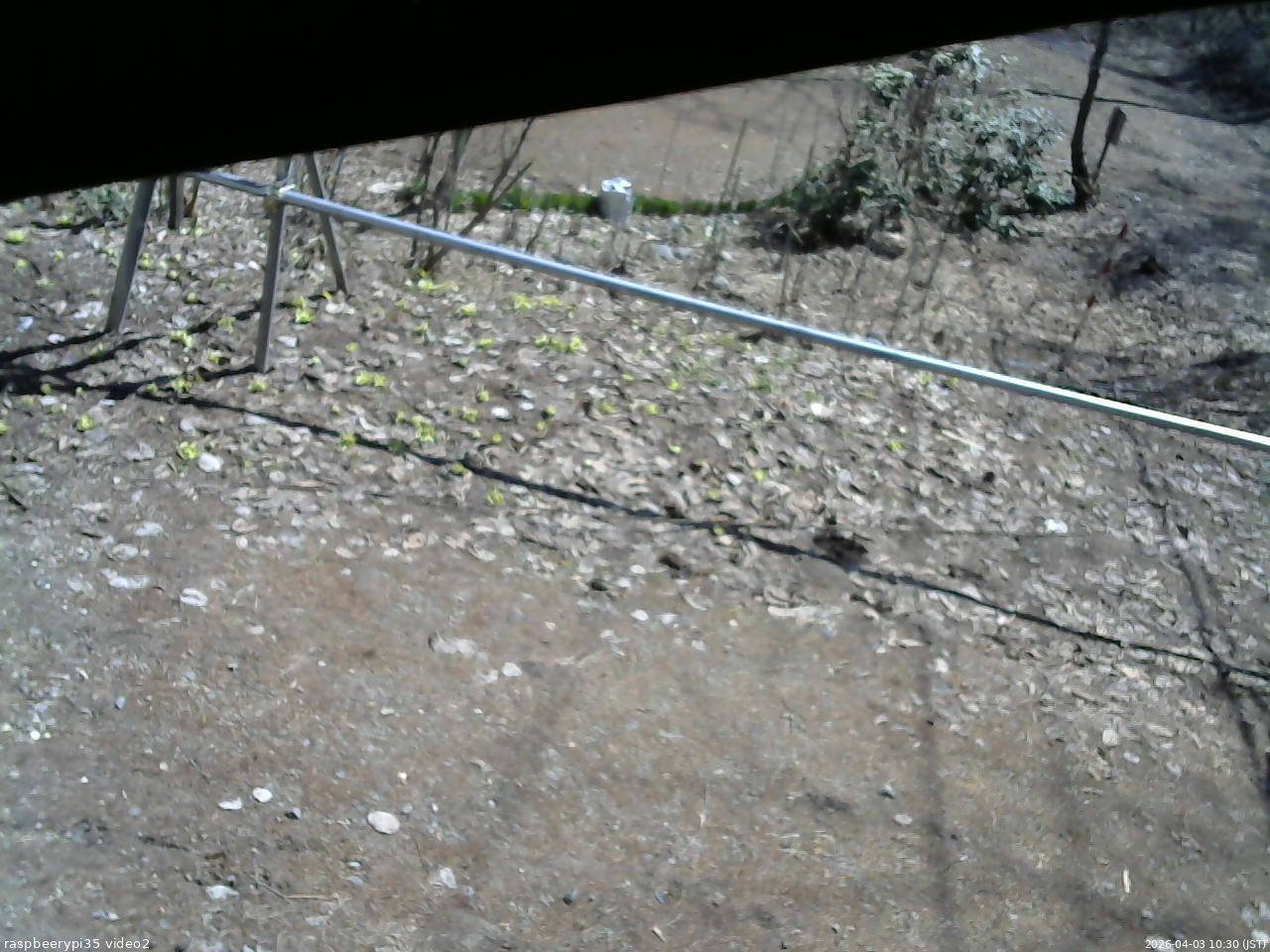 長野県菅平高原 ゆたか山荘 駐車場 2026/04/03 10:30