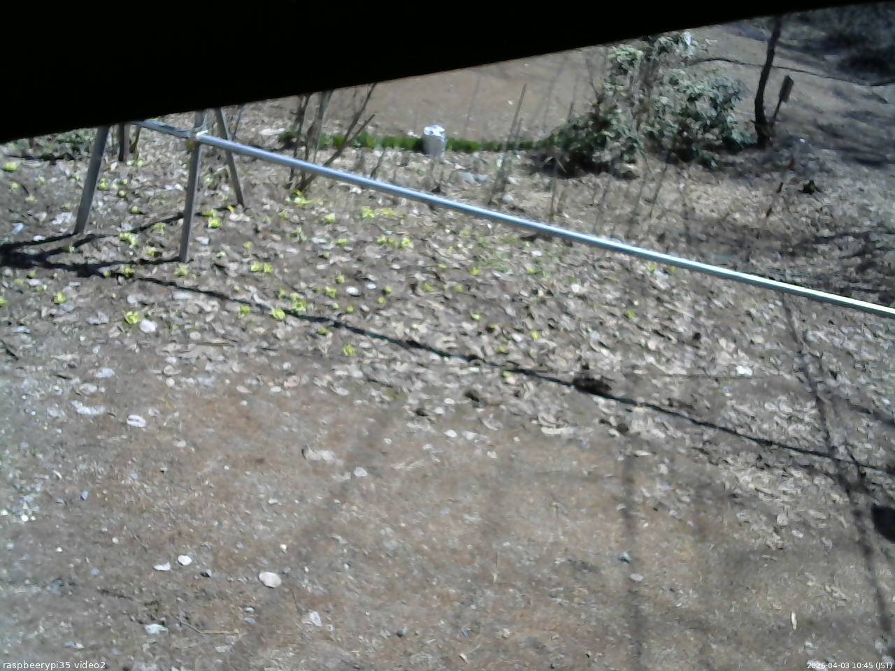 長野県菅平高原 ゆたか山荘 駐車場 2026/04/03 10:45