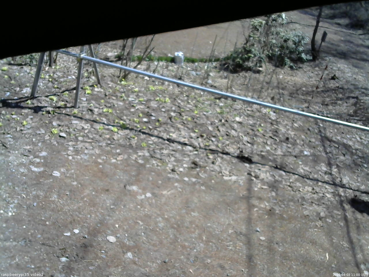 長野県菅平高原 ゆたか山荘 駐車場 2026/04/03 11:00