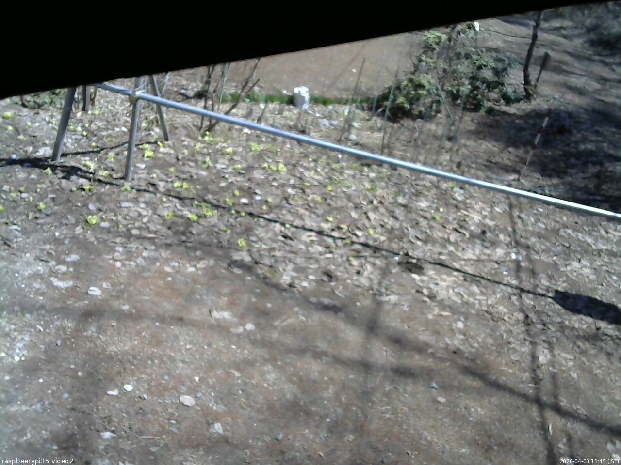 長野県菅平高原 ゆたか山荘 駐車場 2026/04/03 11:45