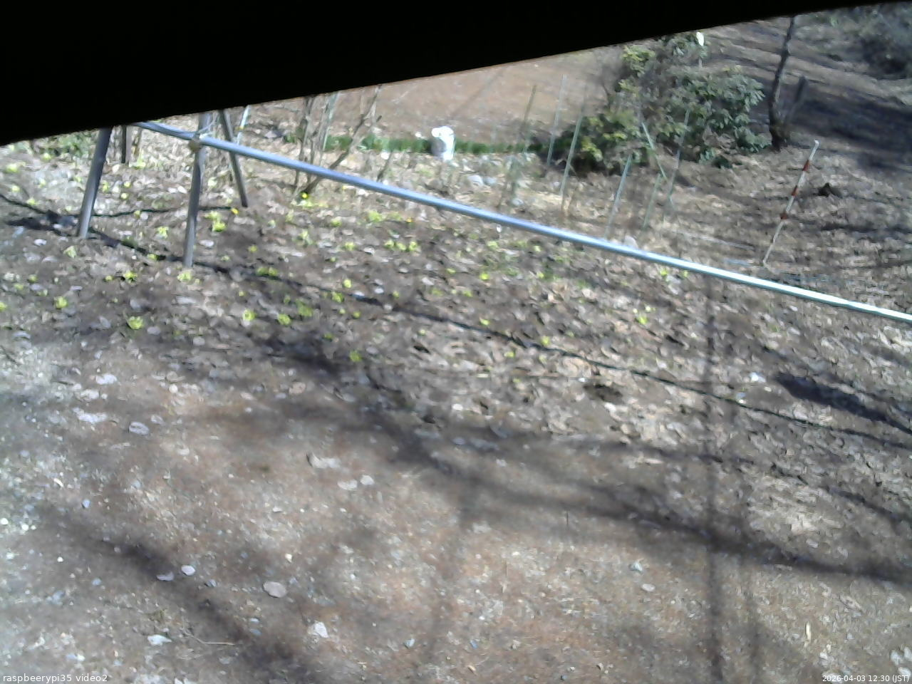 長野県菅平高原 ゆたか山荘 駐車場 2026/04/03 12:30