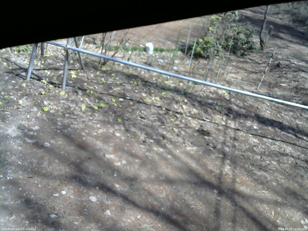 長野県菅平高原 ゆたか山荘 駐車場 2026/04/03 13:00