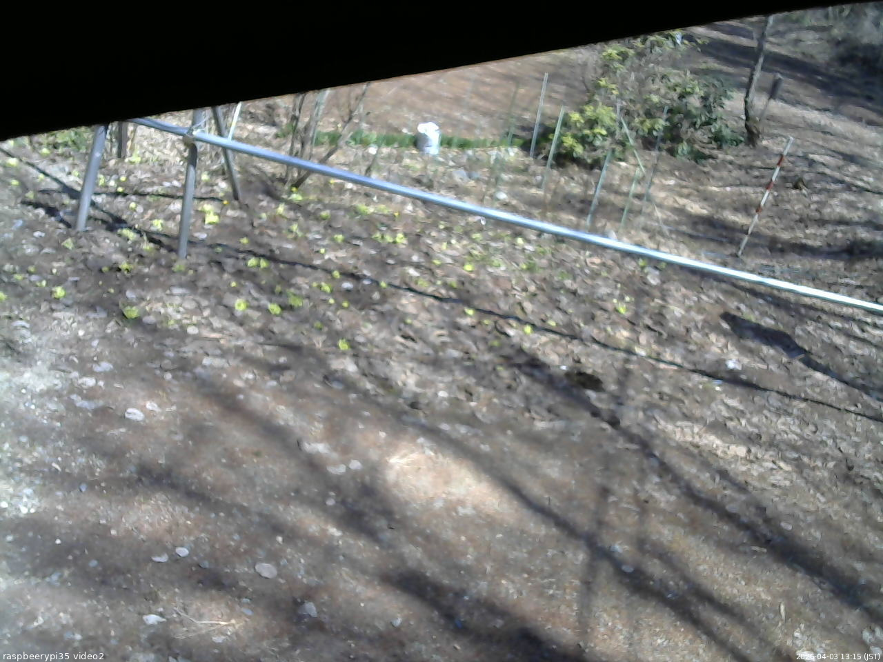 長野県菅平高原 ゆたか山荘 駐車場 2026/04/03 13:15