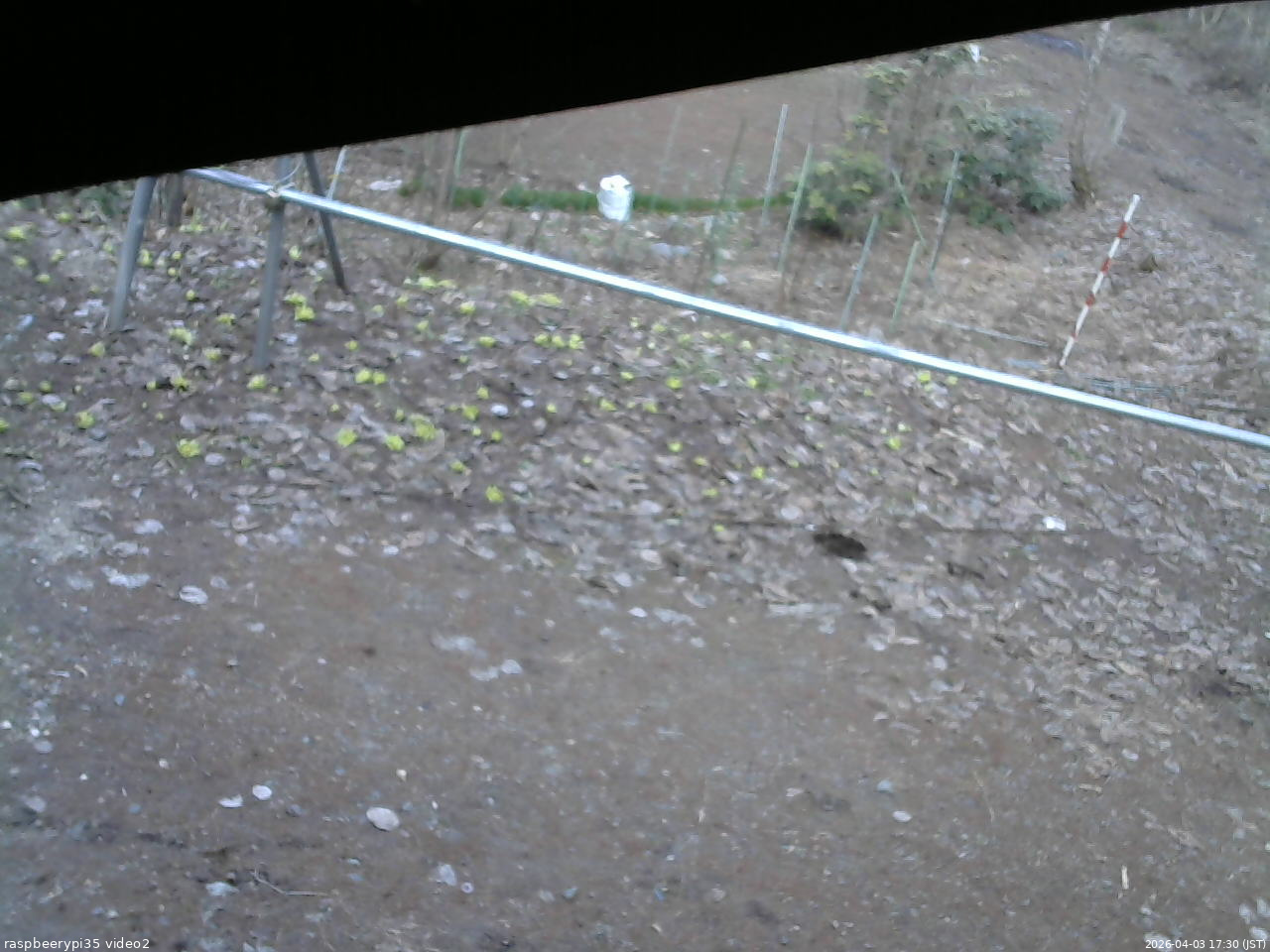 長野県菅平高原 ゆたか山荘 駐車場 2026/04/03 17:30