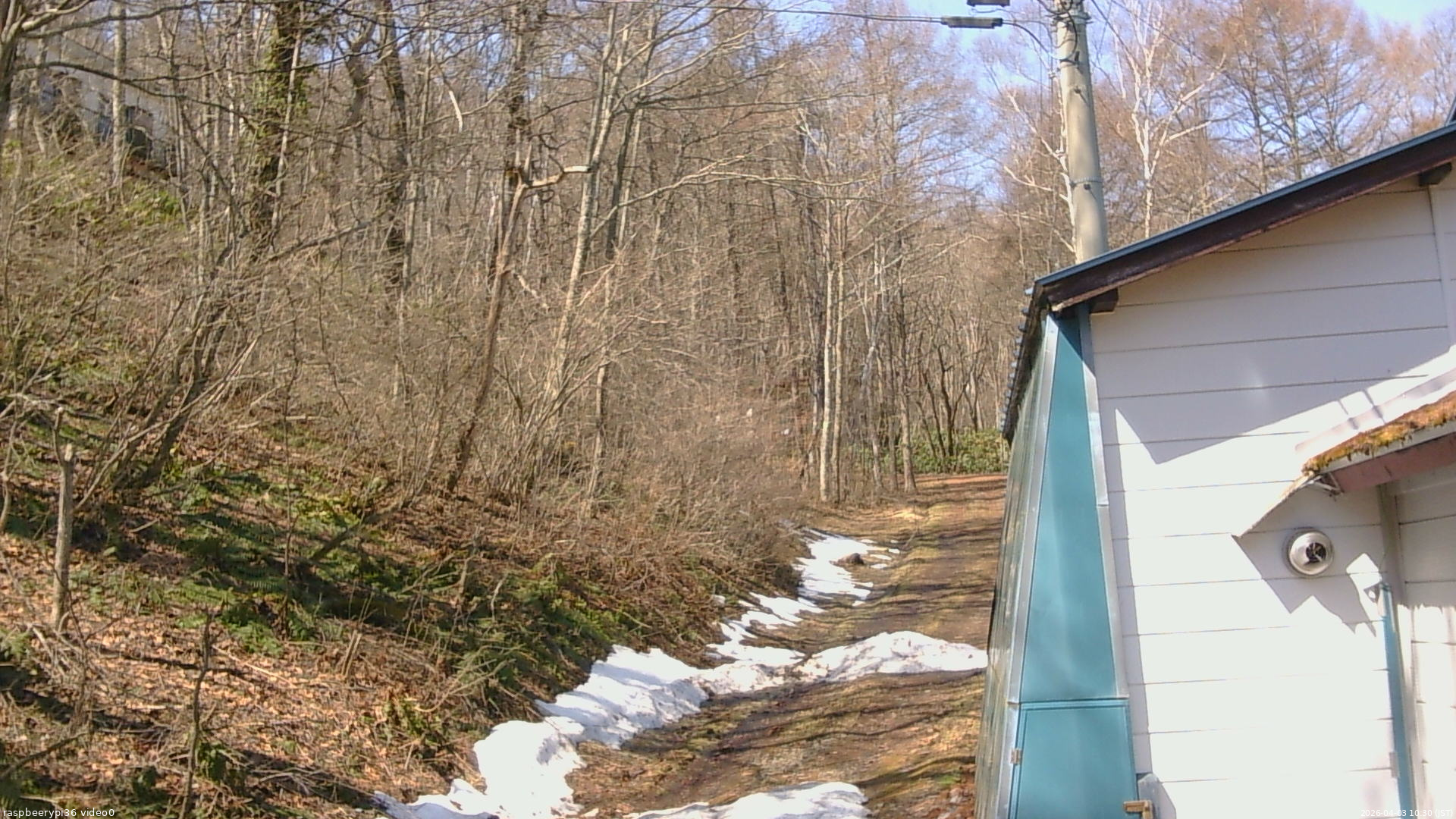 長野県菅平高原 ゆたか山荘 ゆたか山荘 2026/04/03 10:30