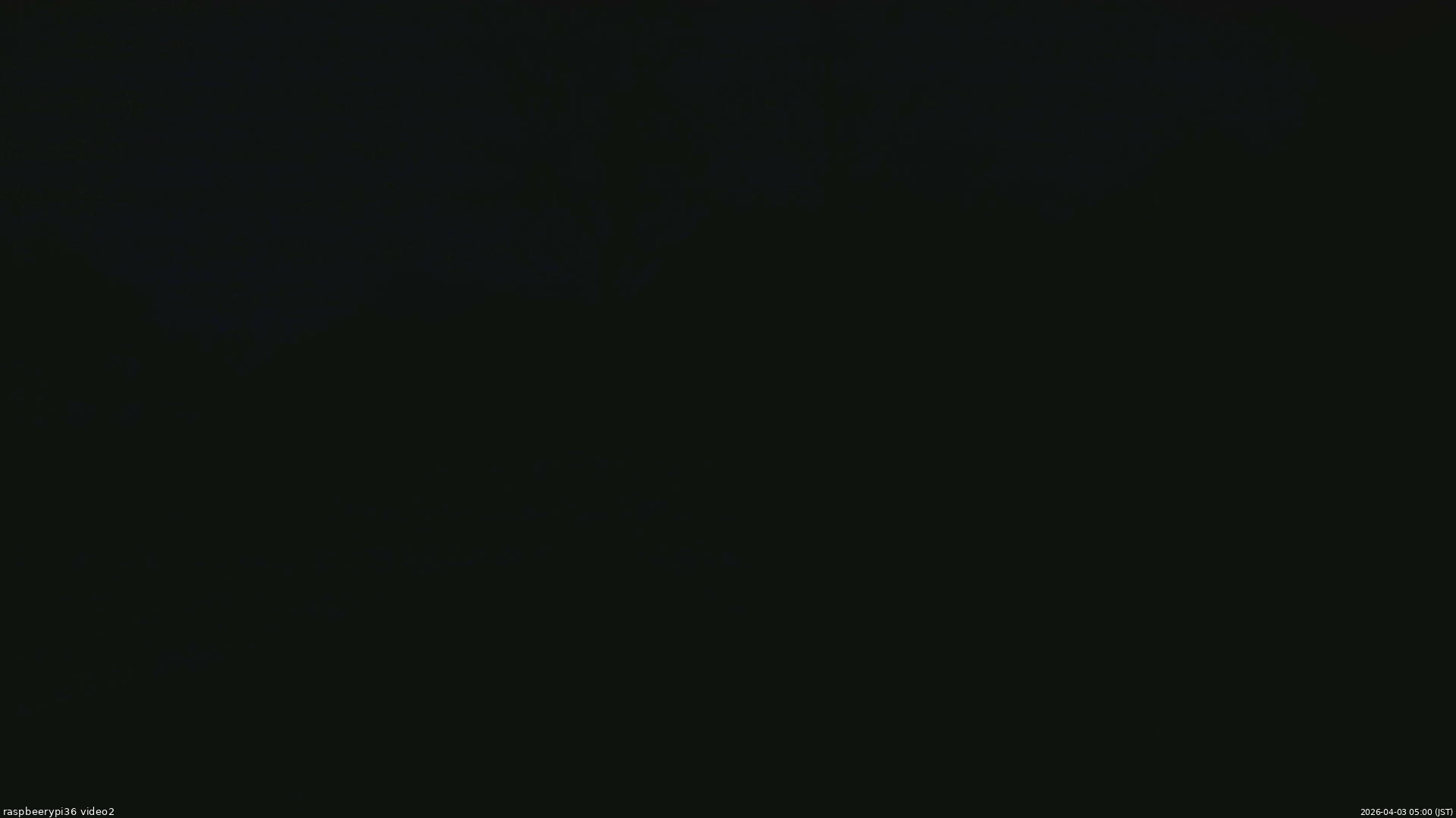 長野県菅平高原 ゆたか山荘 駐車場奥 2026/04/03 05:00