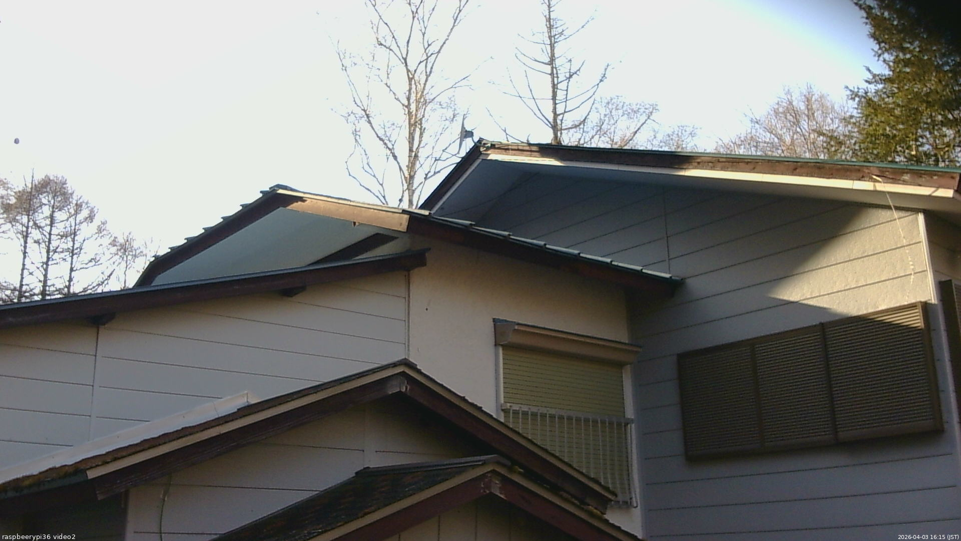 長野県菅平高原 ゆたか山荘 駐車場奥 2026/04/03 16:15