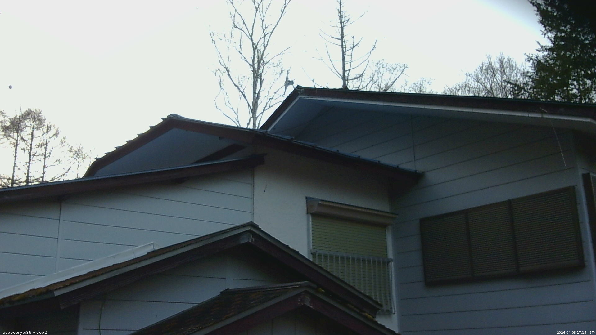 長野県菅平高原 ゆたか山荘 駐車場奥 2026/04/03 17:15