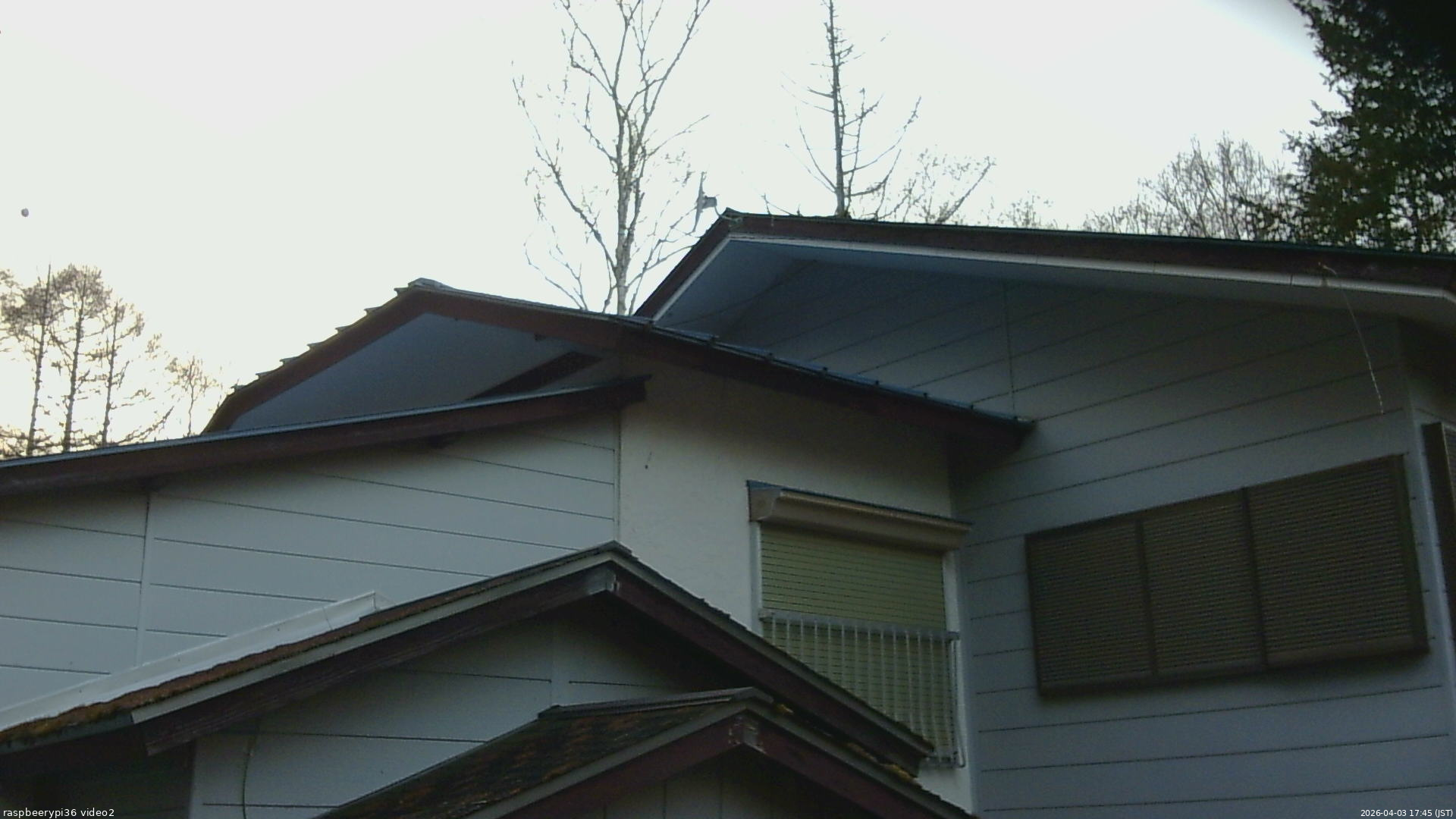 長野県菅平高原 ゆたか山荘 駐車場奥 2026/04/03 17:45