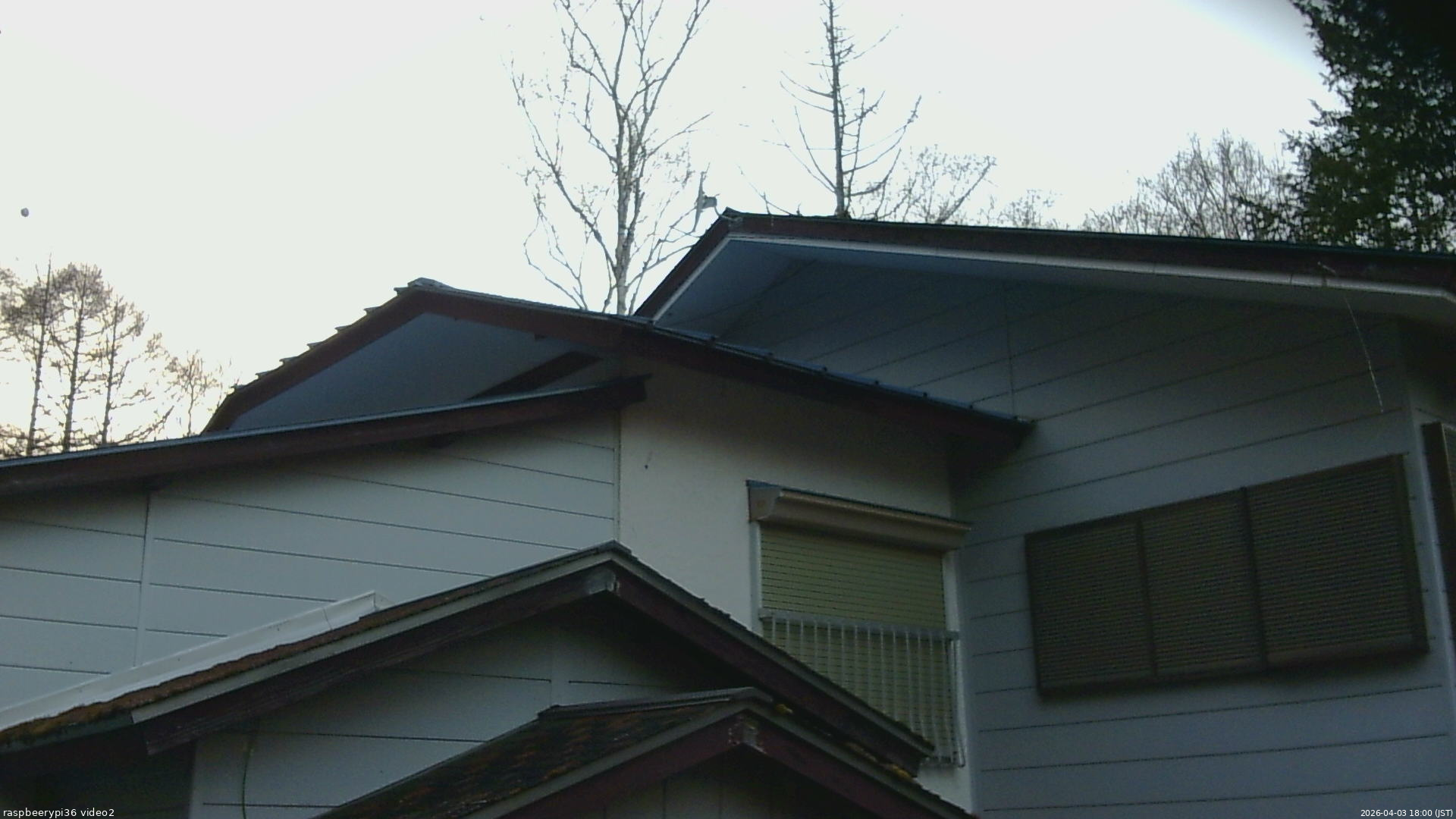 長野県菅平高原 ゆたか山荘 駐車場奥 2026/04/03 18:00