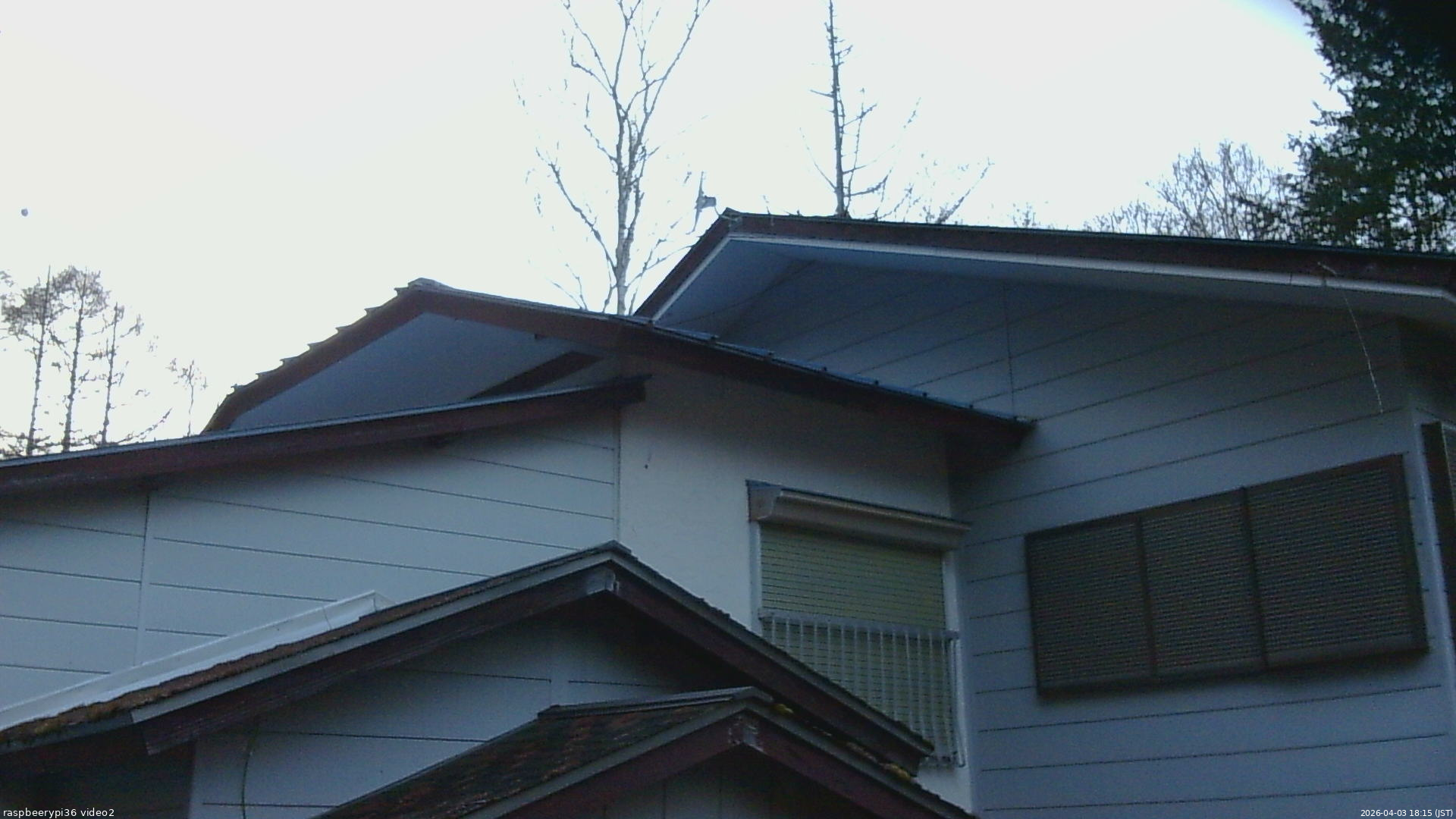 長野県菅平高原 ゆたか山荘 駐車場奥 2026/04/03 18:15