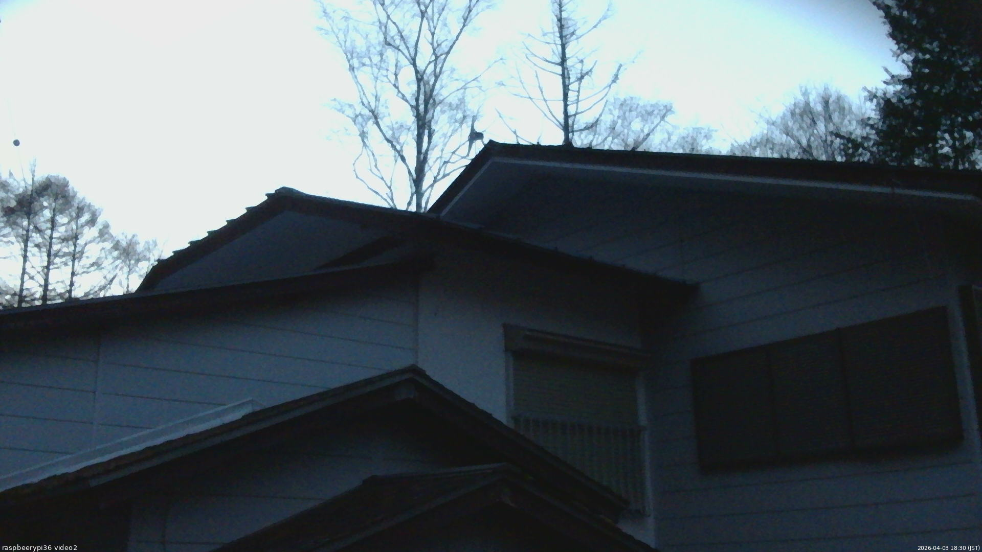 長野県菅平高原 ゆたか山荘 駐車場奥 2026/04/03 18:30