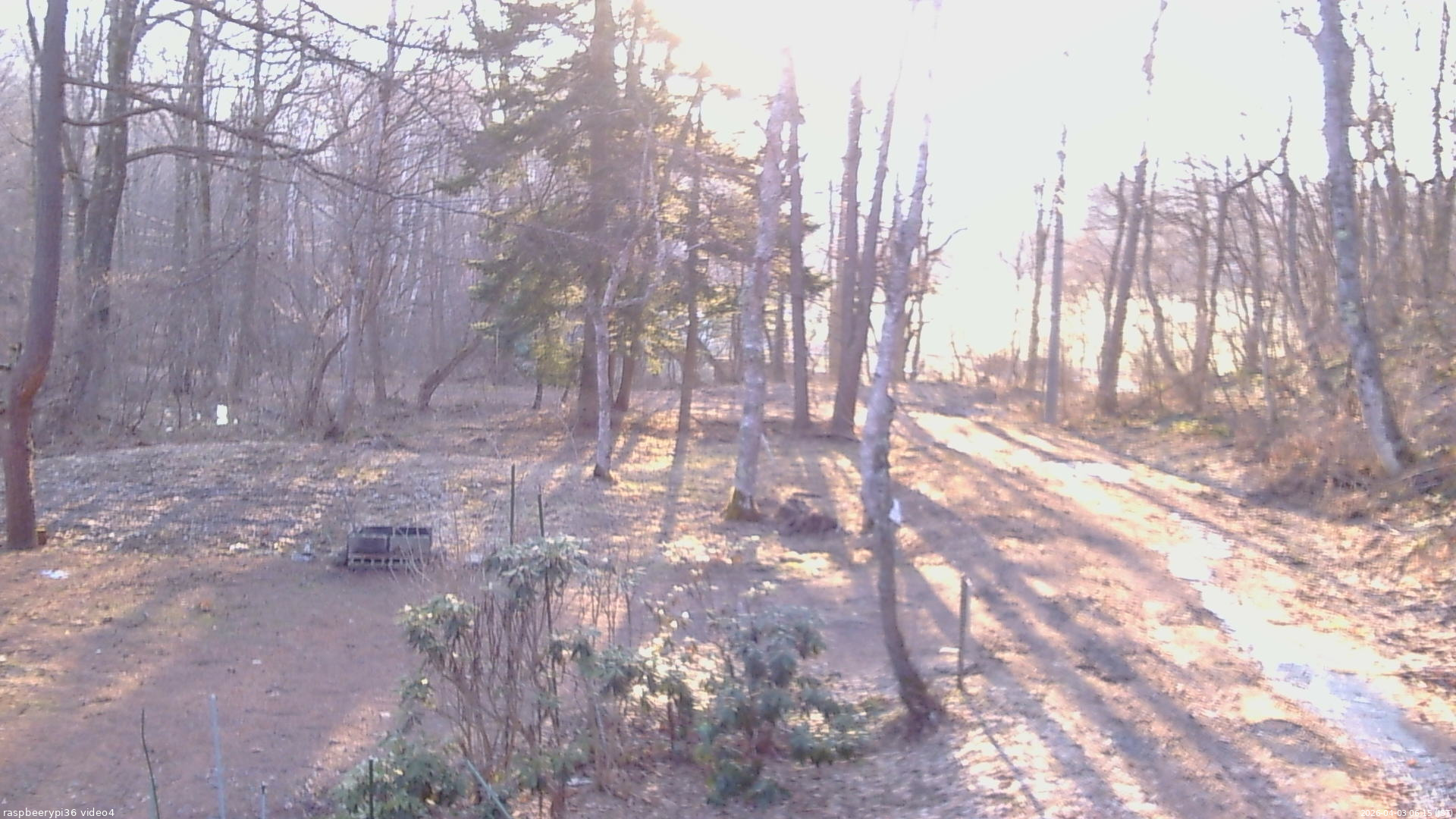 長野県菅平高原 ゆたか山荘 坂上 2026/04/03 06:15