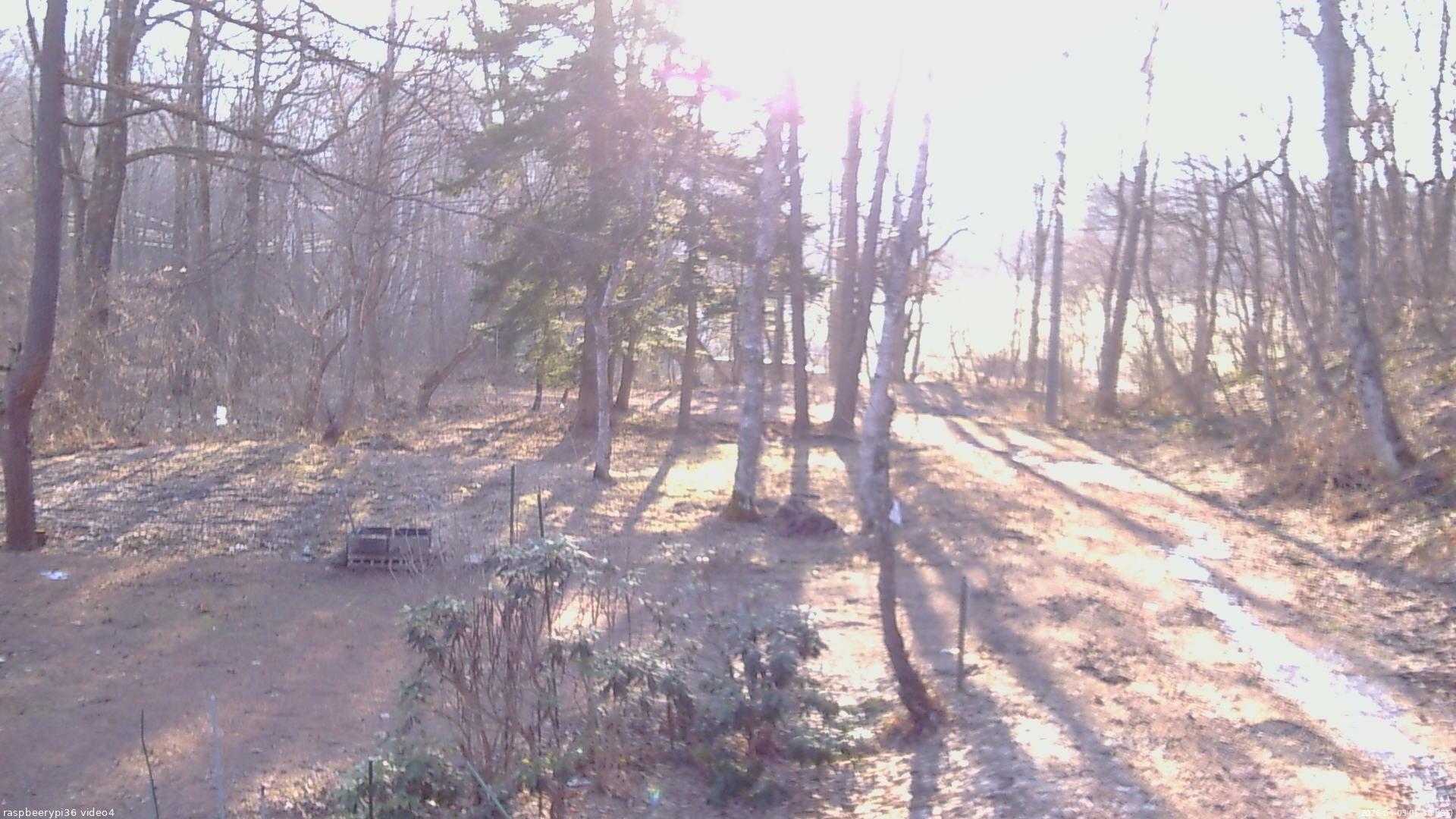 長野県菅平高原 ゆたか山荘 坂上 2026/04/03 06:30