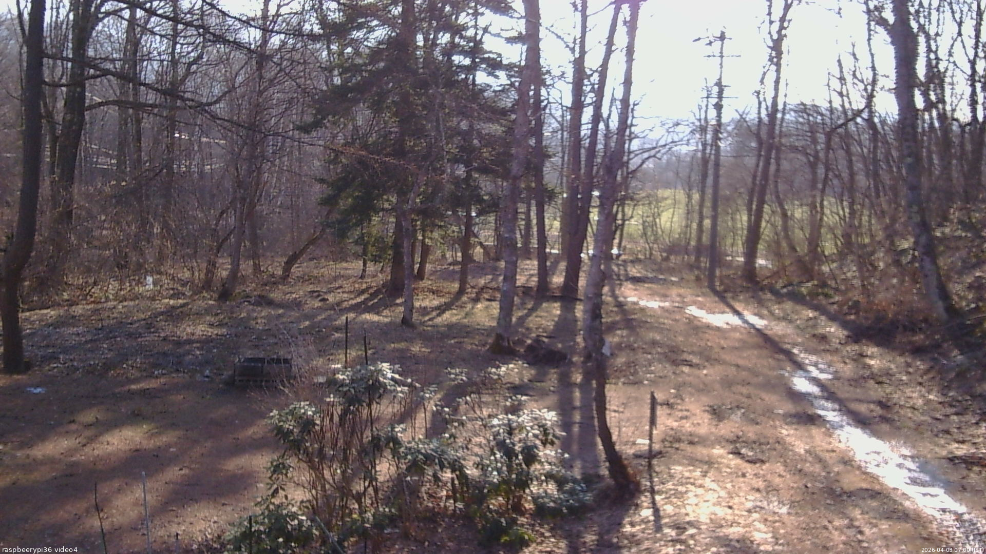 長野県菅平高原 ゆたか山荘 坂上 2026/04/03 07:00