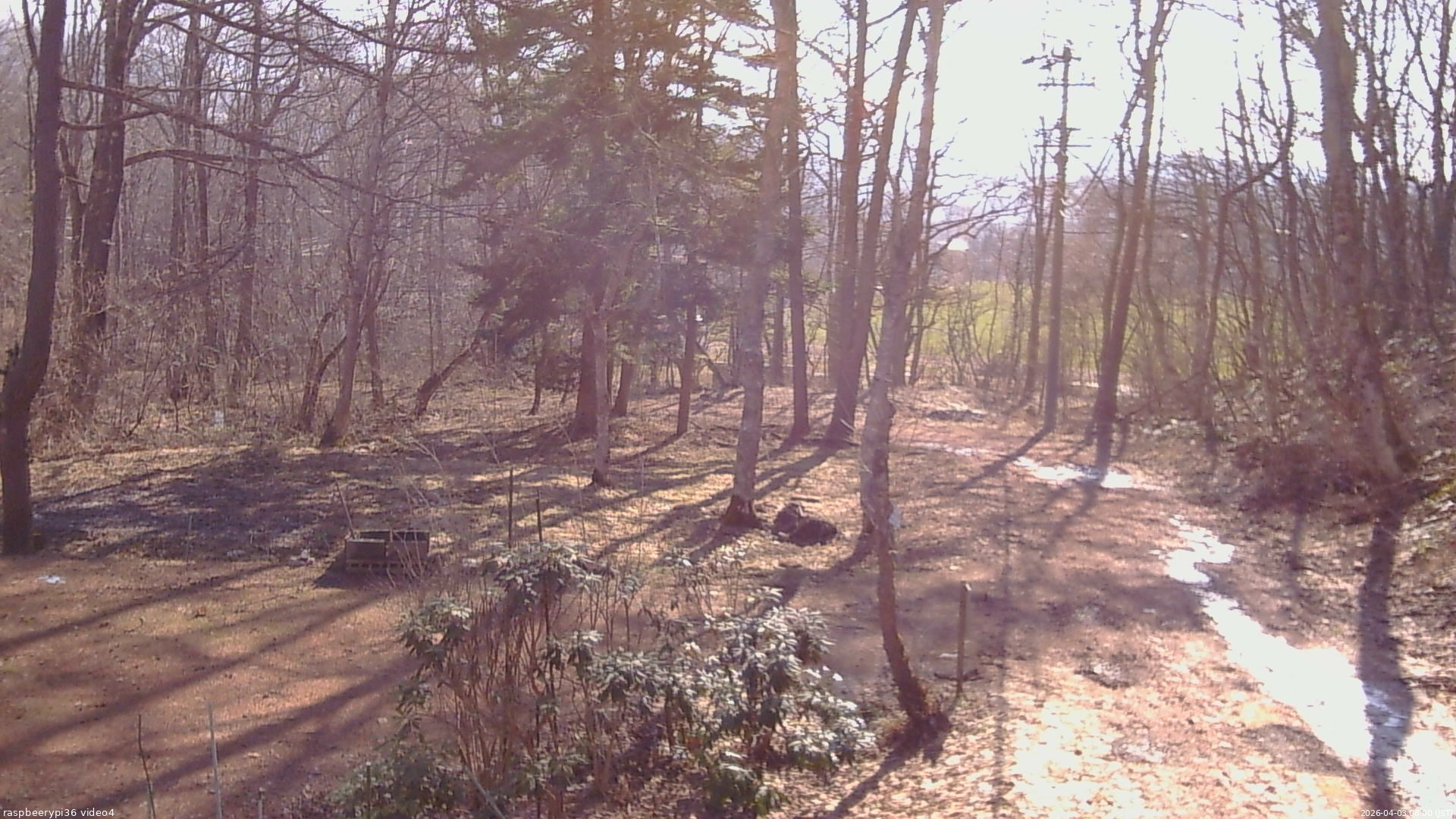 長野県菅平高原 ゆたか山荘 坂上 2026/04/03 08:00