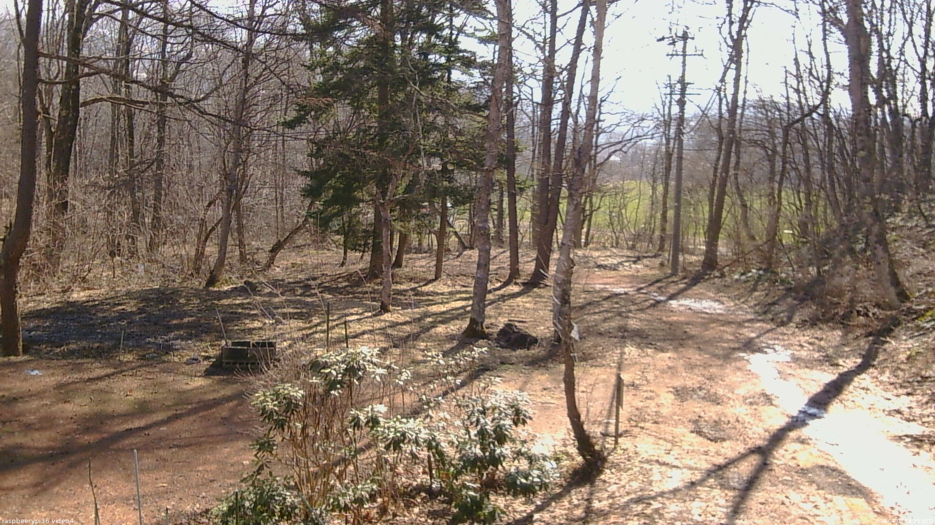 長野県菅平高原 ゆたか山荘 坂上 2026/04/03 08:30