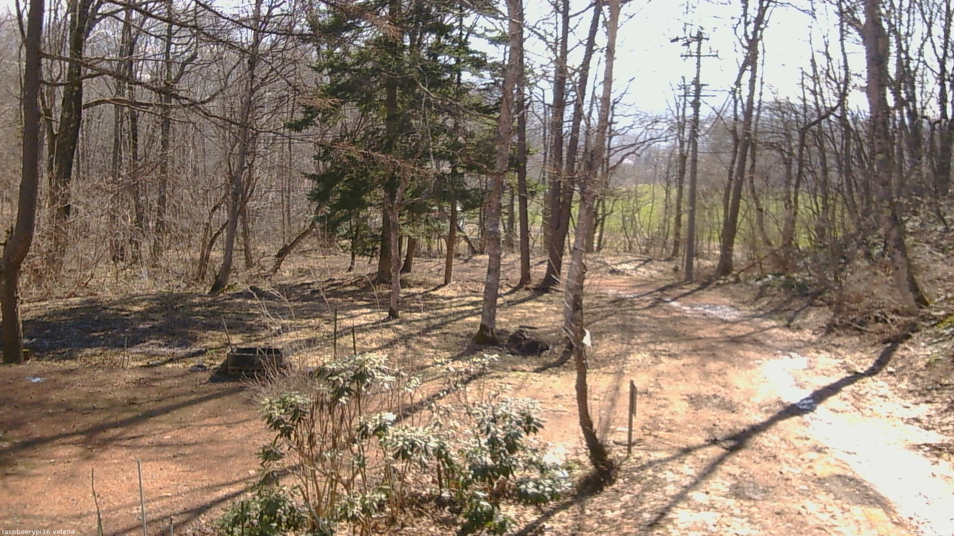 長野県菅平高原 ゆたか山荘 坂上 2026/04/03 08:45