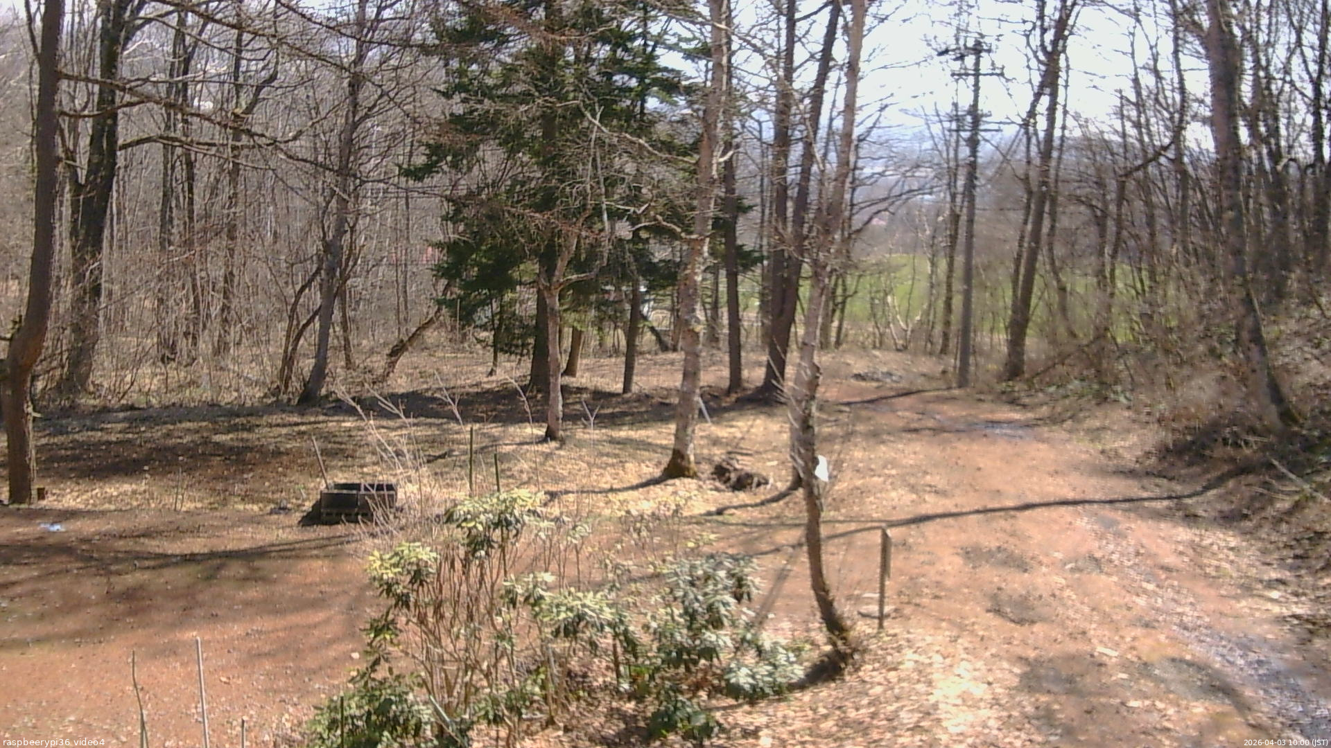 長野県菅平高原 ゆたか山荘 坂上 2026/04/03 10:00