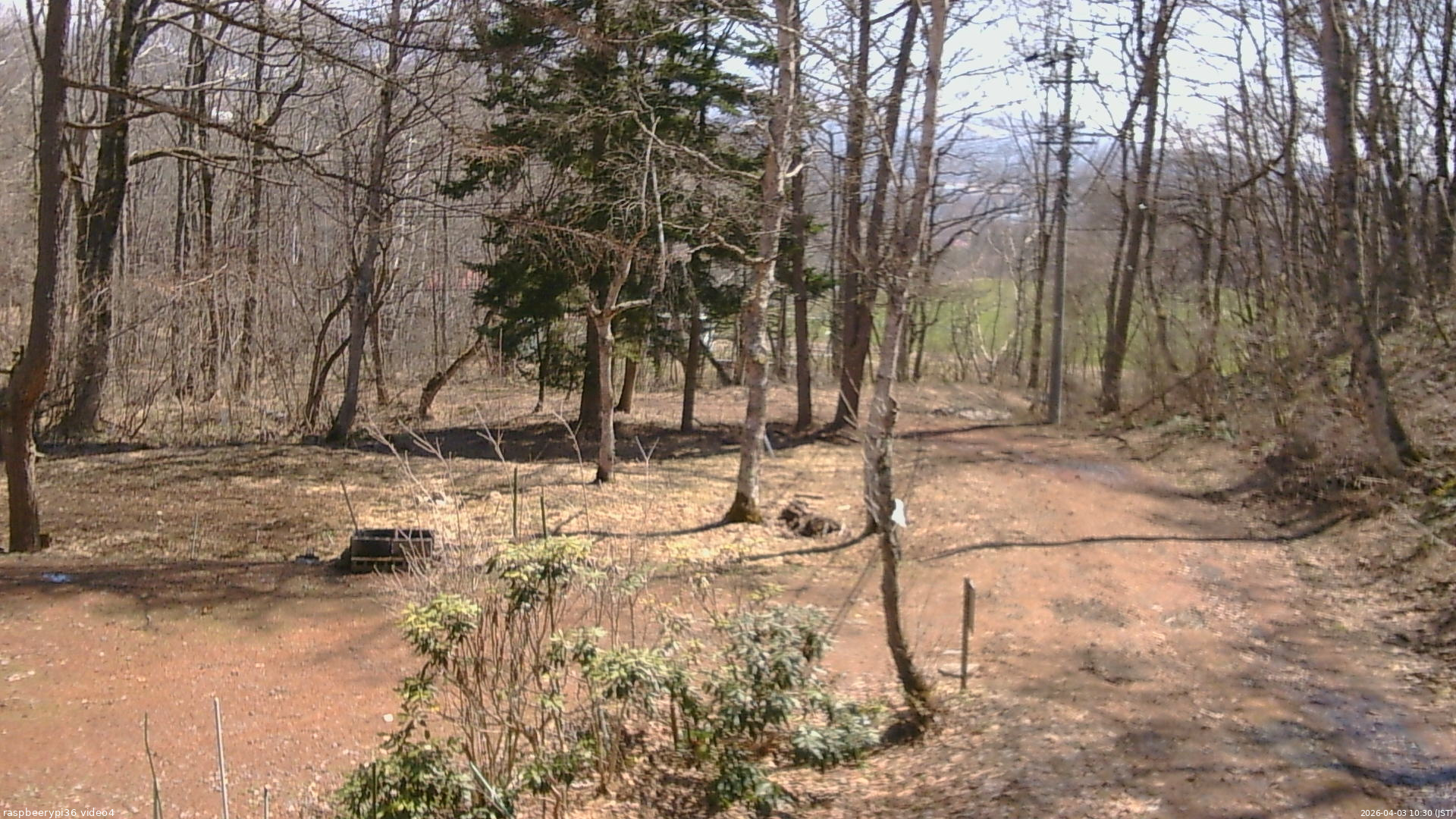 長野県菅平高原 ゆたか山荘 坂上 2026/04/03 10:30