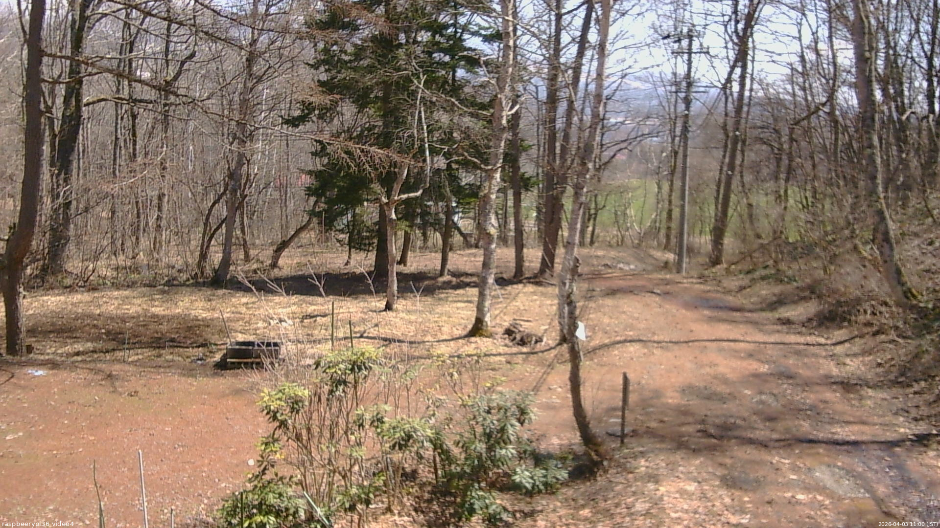 長野県菅平高原 ゆたか山荘 坂上 2026/04/03 11:00