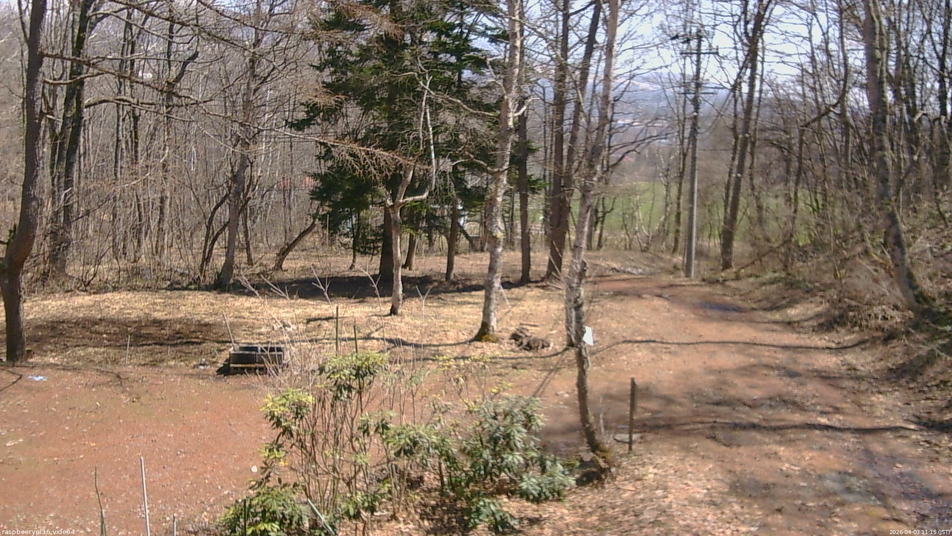 長野県菅平高原 ゆたか山荘 坂上 2026/04/03 11:15