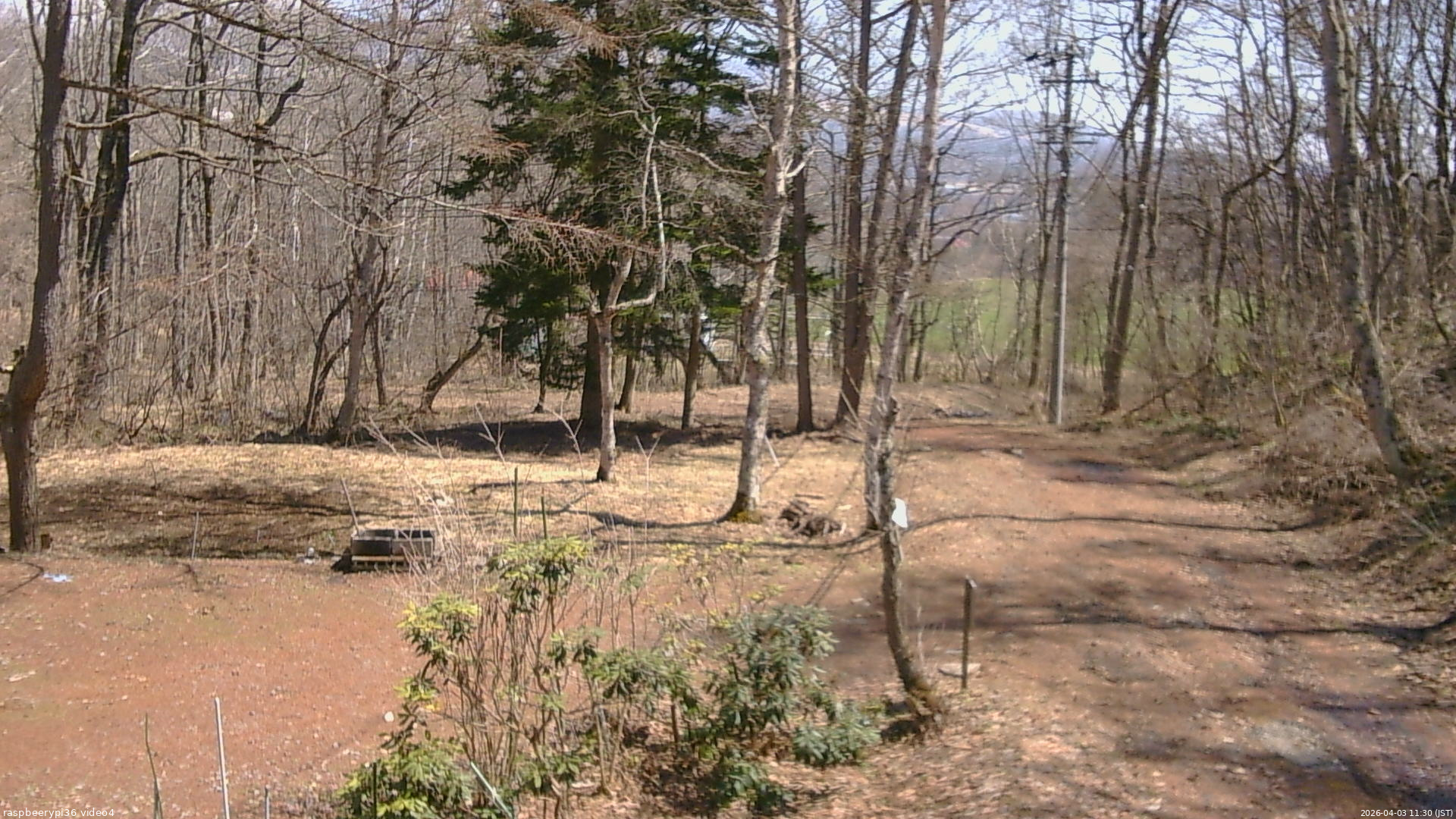 長野県菅平高原 ゆたか山荘 坂上 2026/04/03 11:30