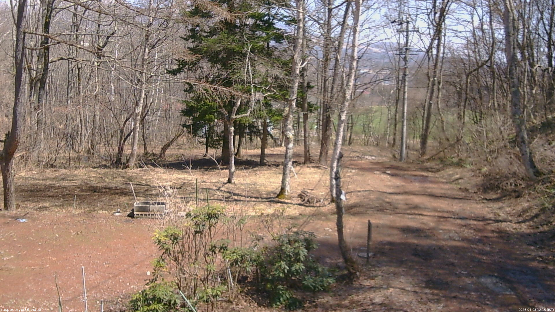 長野県菅平高原 ゆたか山荘 坂上 2026/04/03 12:15