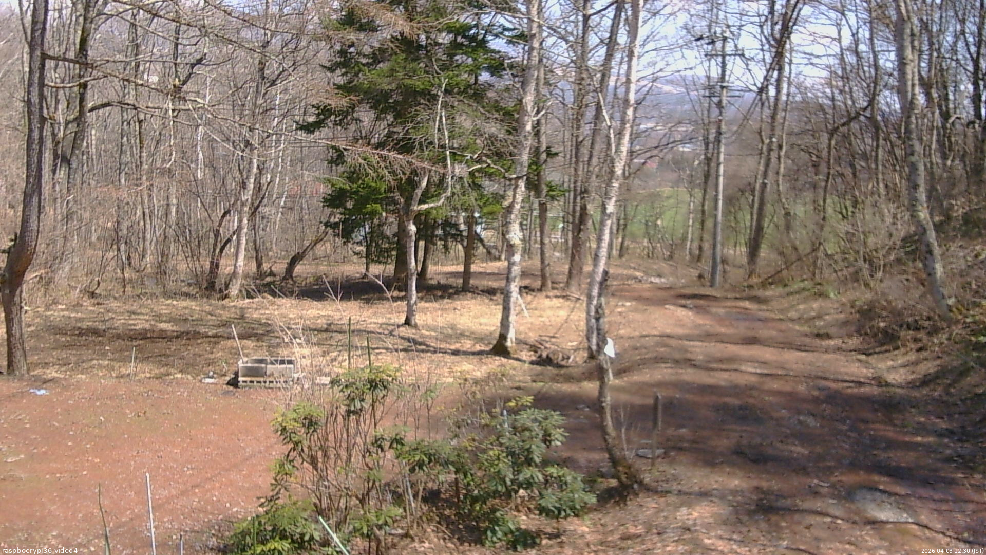 長野県菅平高原 ゆたか山荘 坂上 2026/04/03 12:30