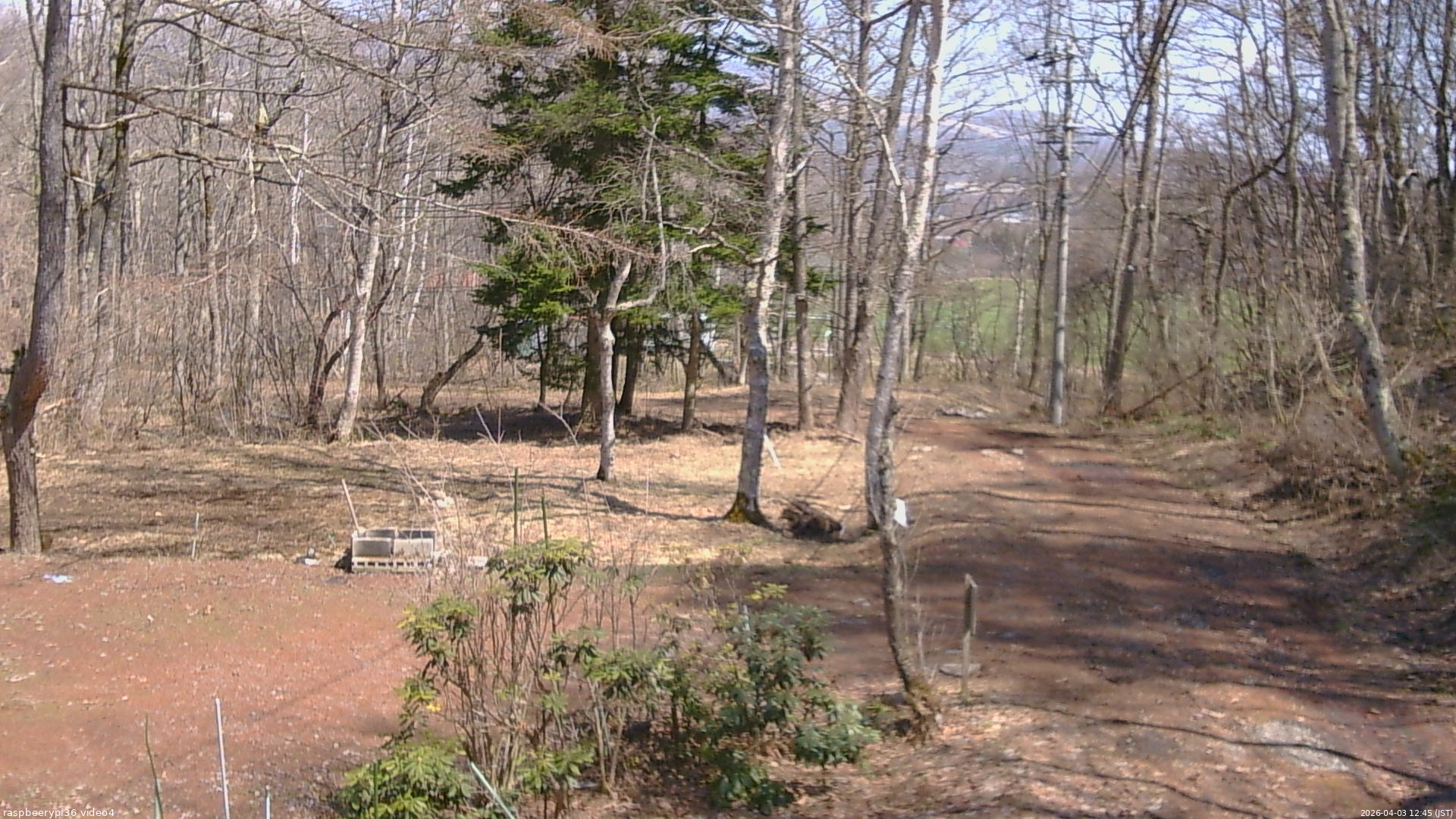 長野県菅平高原 ゆたか山荘 坂上 2026/04/03 12:45