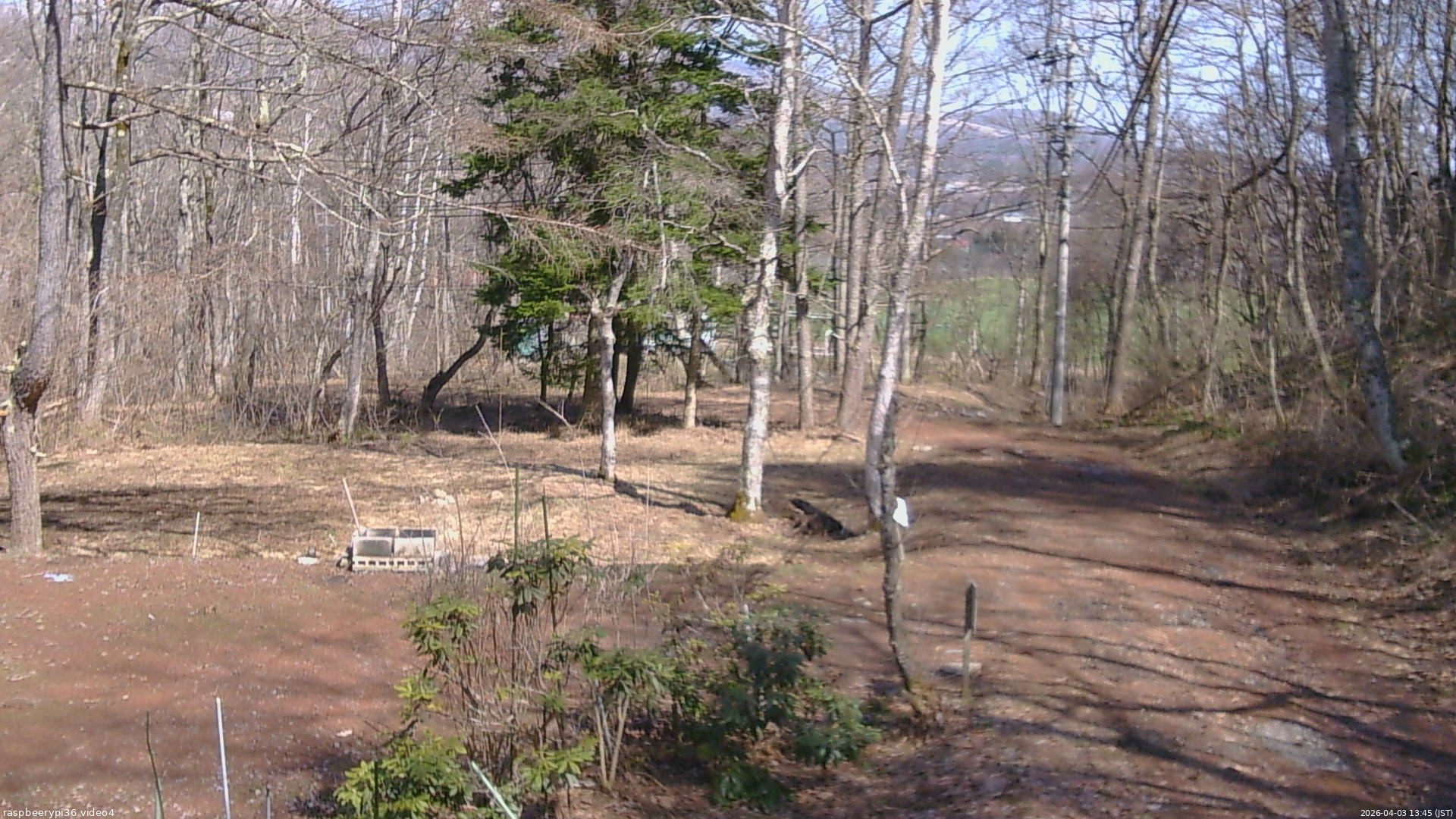 長野県菅平高原 ゆたか山荘 坂上 2026/04/03 13:45