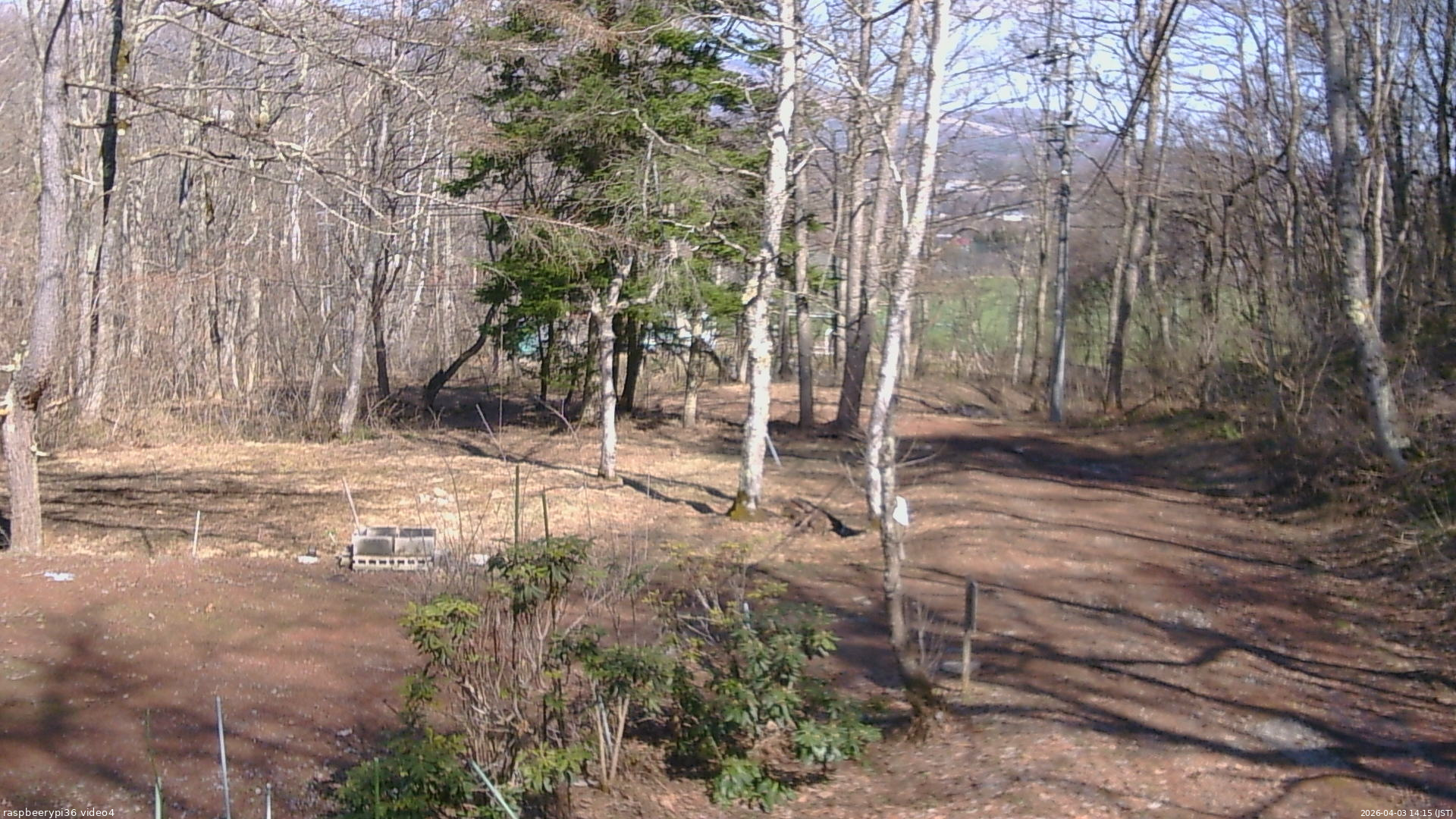 長野県菅平高原 ゆたか山荘 坂上 2026/04/03 14:15
