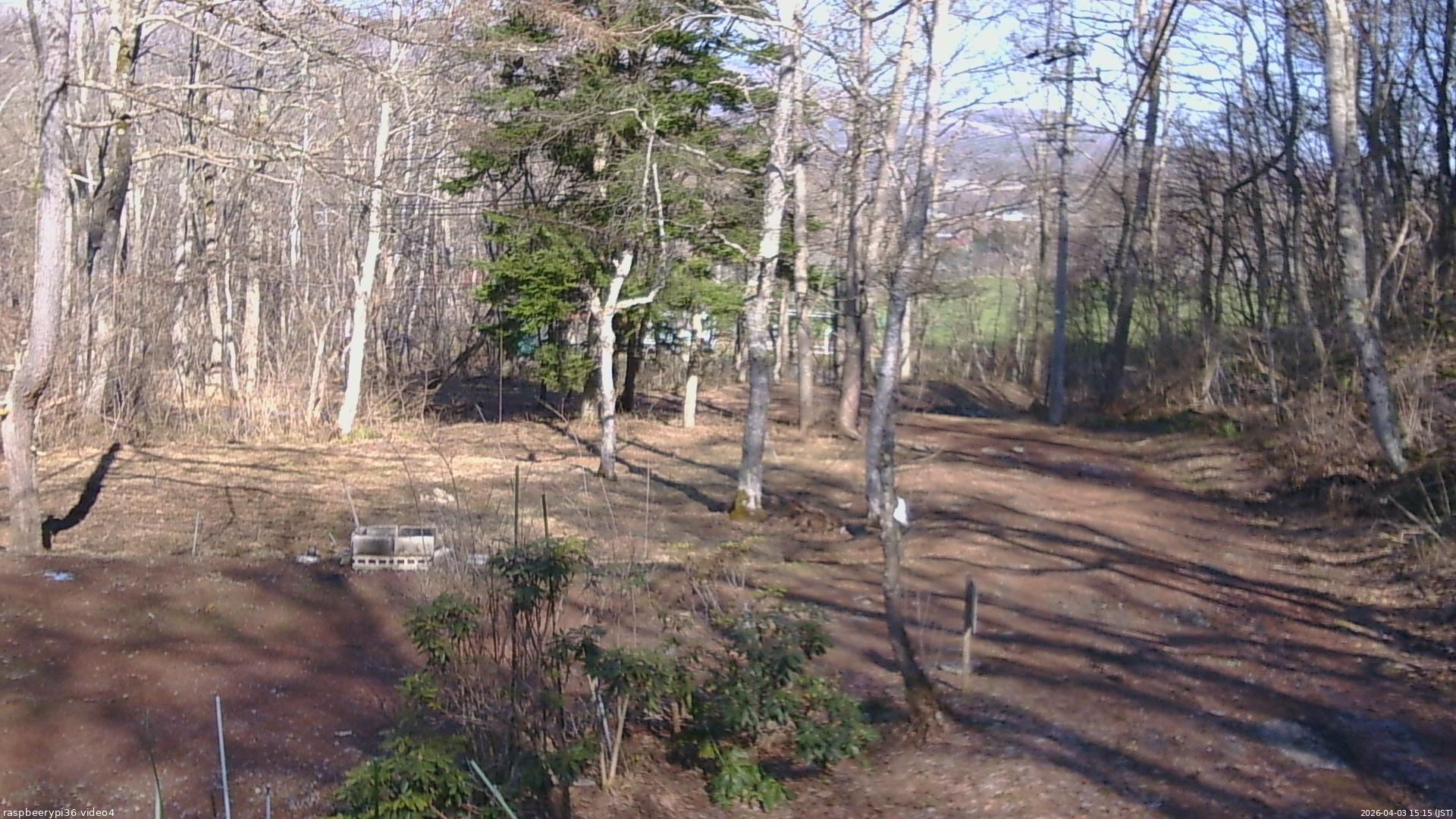 長野県菅平高原 ゆたか山荘 坂上 2026/04/03 15:15