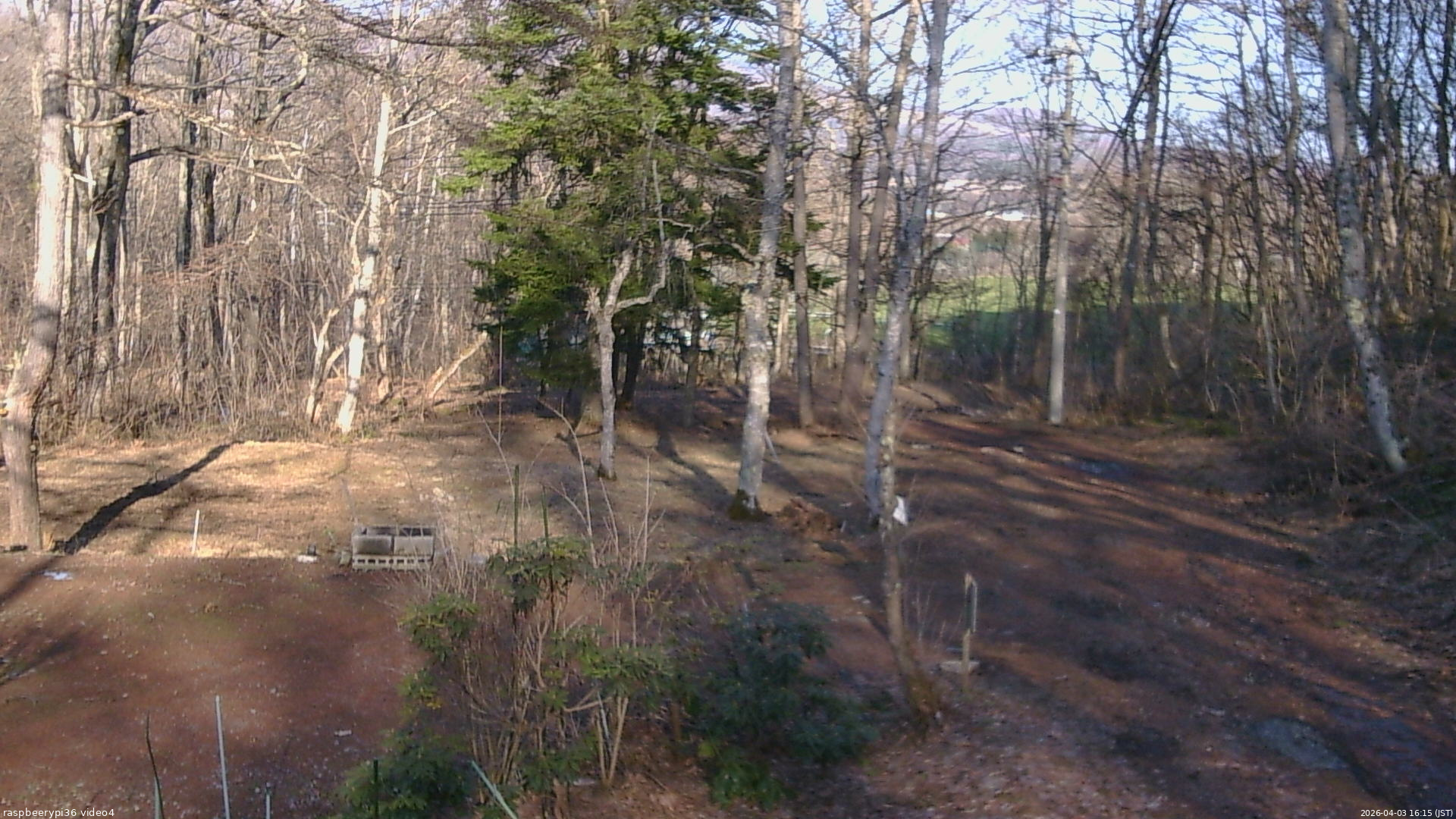 長野県菅平高原 ゆたか山荘 坂上 2026/04/03 16:15
