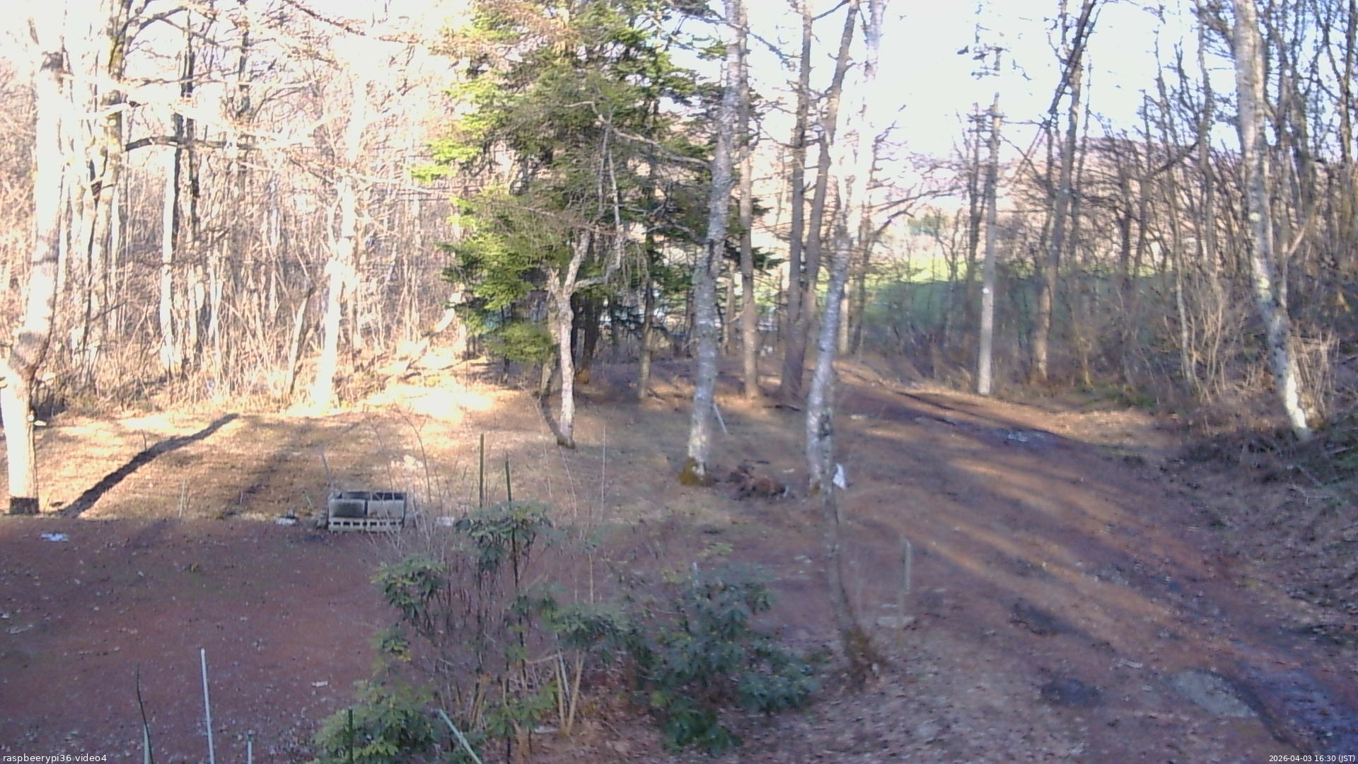 長野県菅平高原 ゆたか山荘 坂上 2026/04/03 16:30