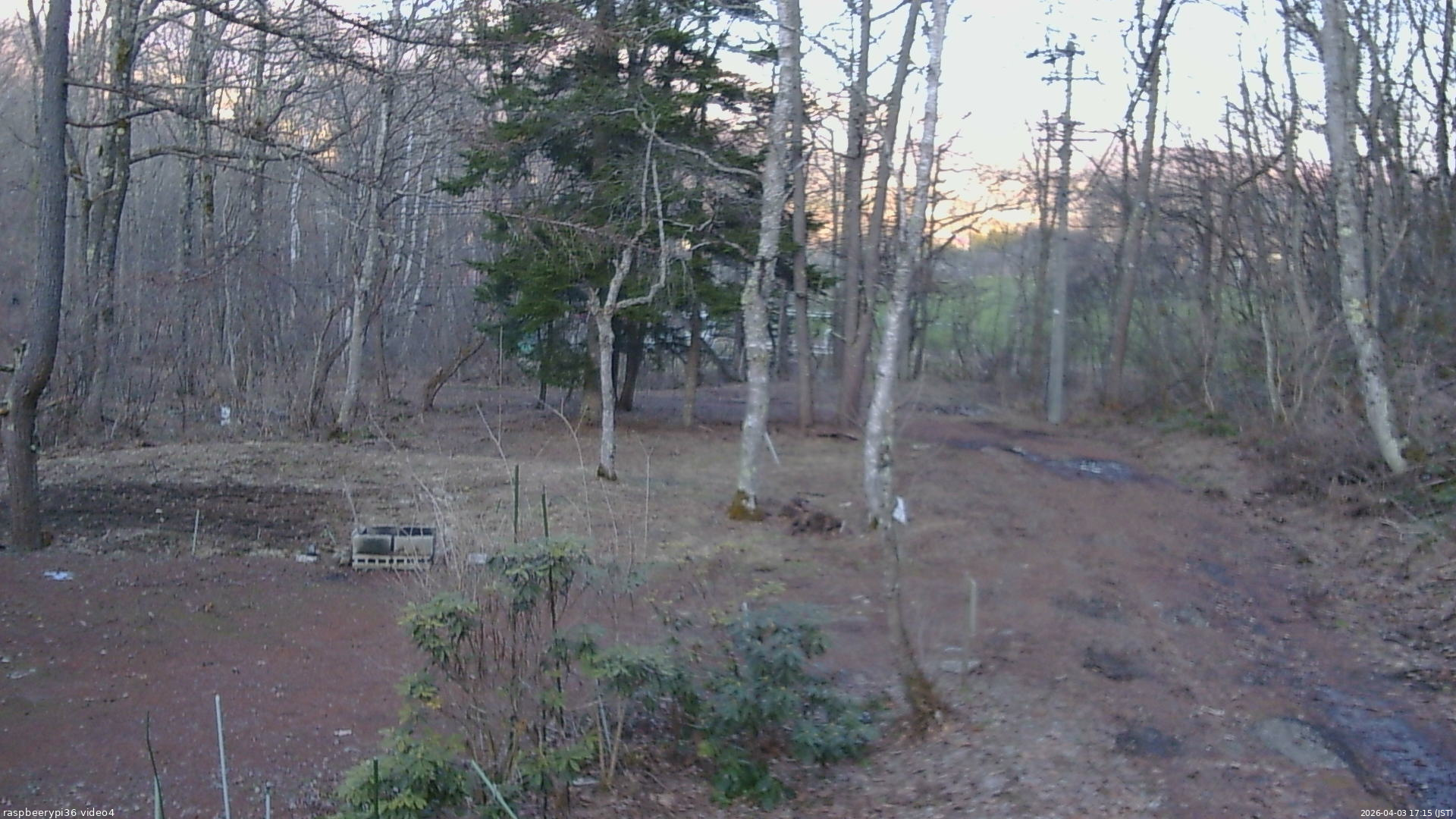 長野県菅平高原 ゆたか山荘 坂上 2026/04/03 17:15
