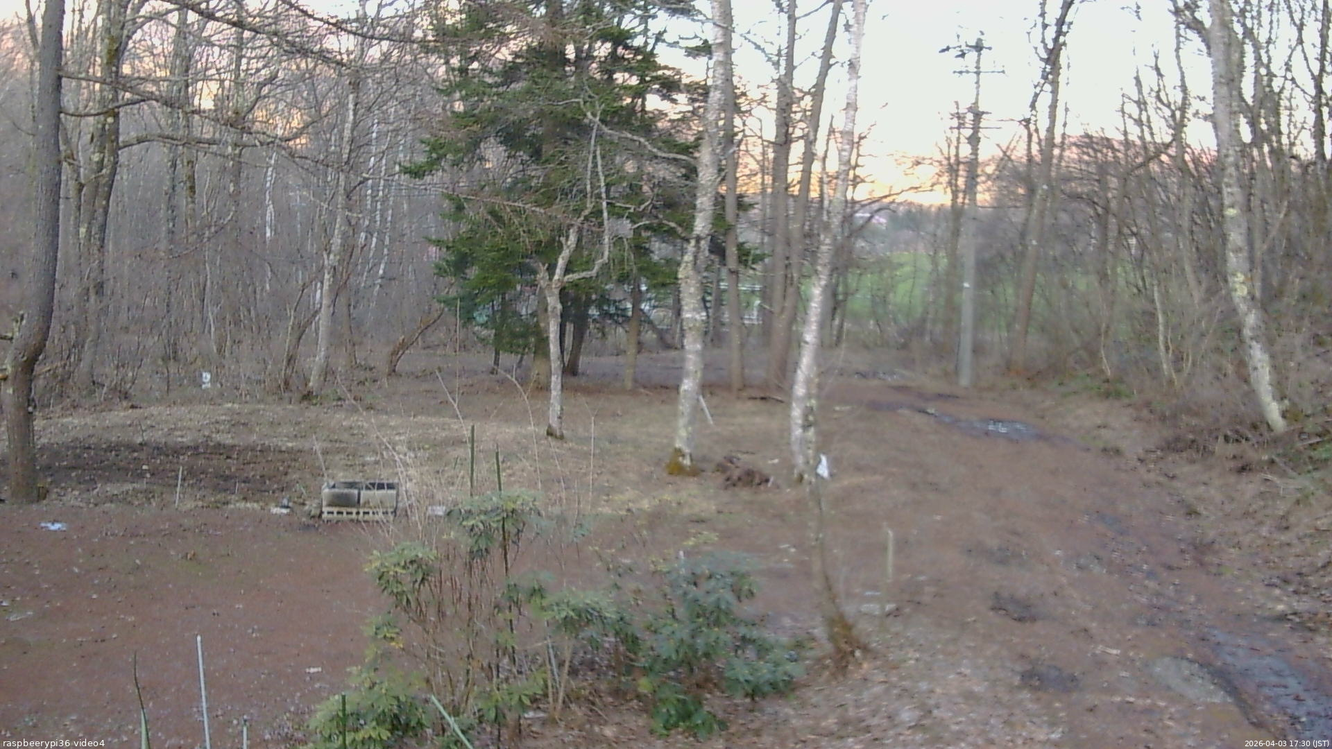 長野県菅平高原 ゆたか山荘 坂上 2026/04/03 17:30