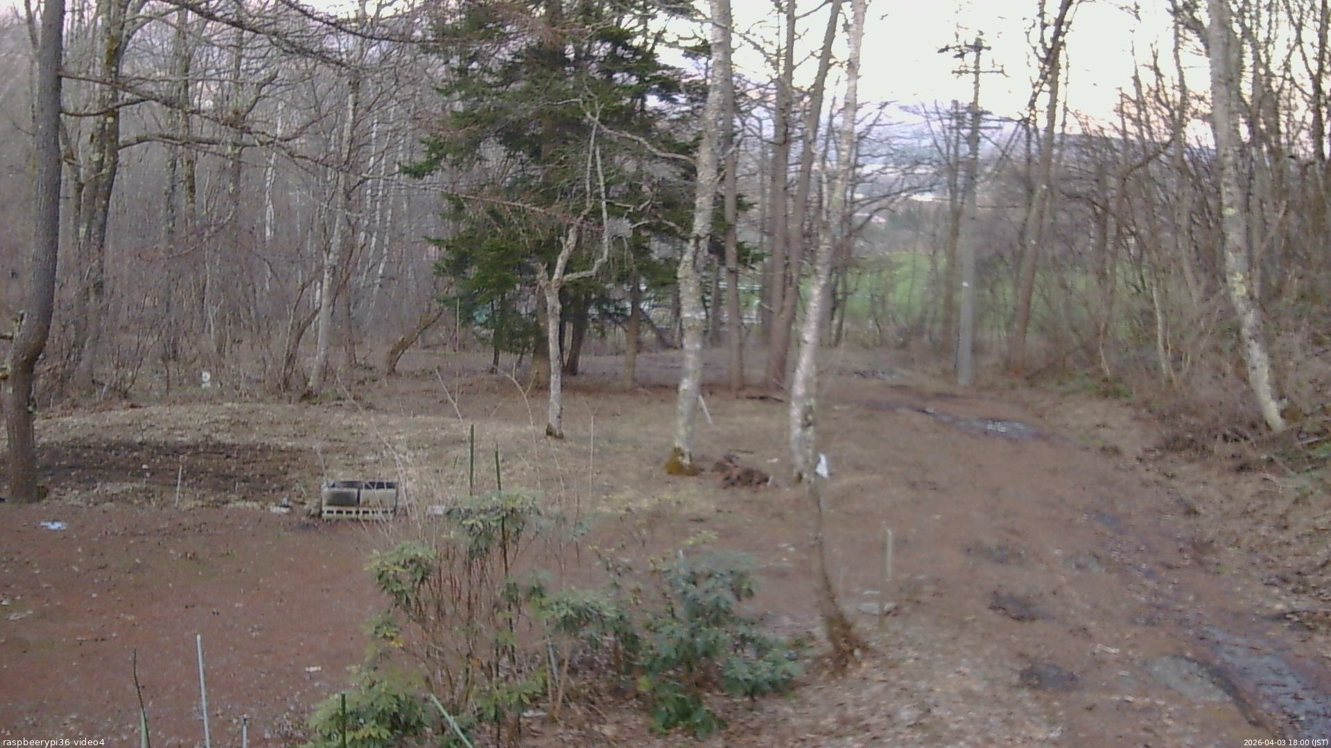 長野県菅平高原 ゆたか山荘 坂上 2026/04/03 18:00